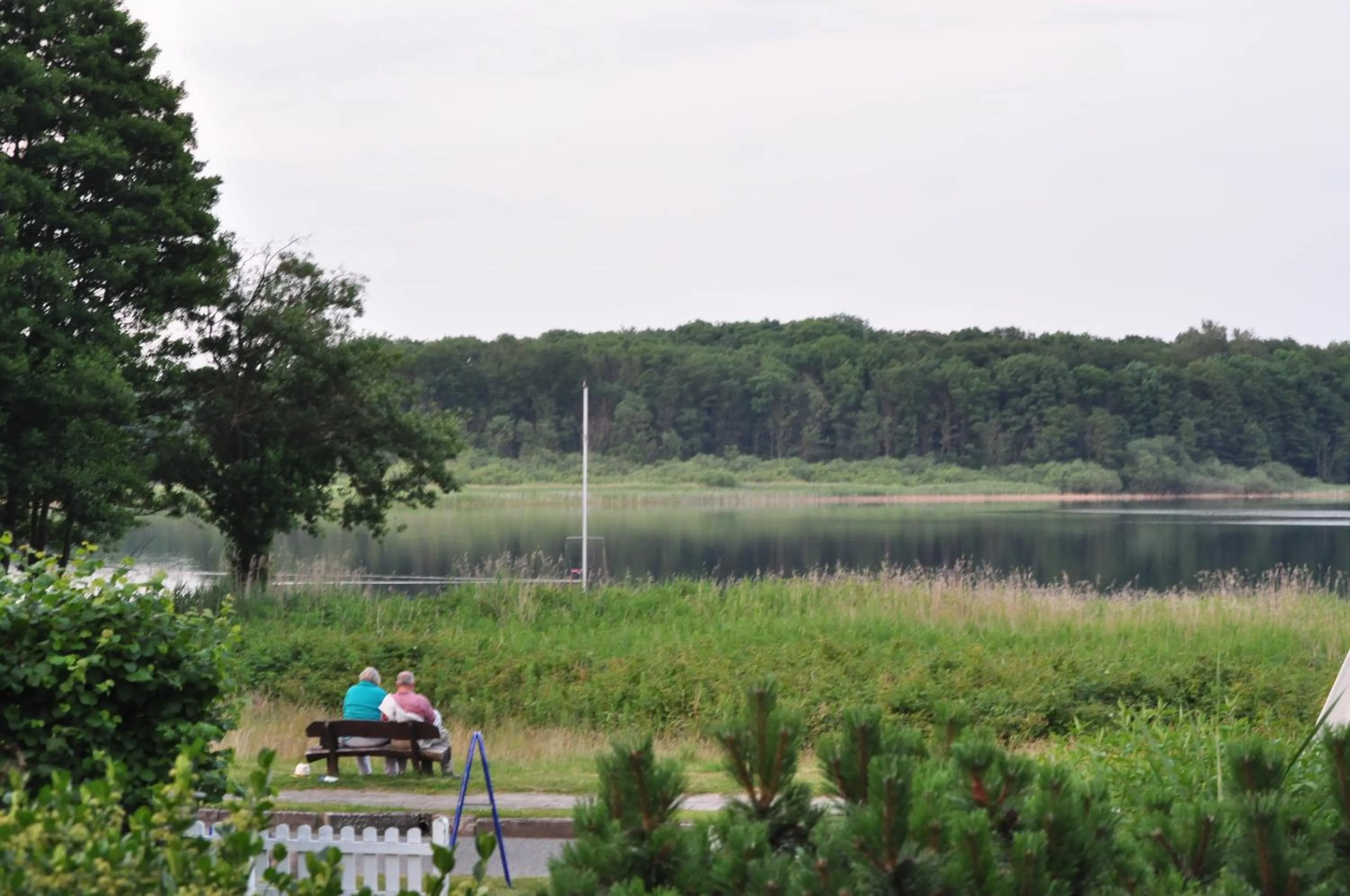 View (from property/room) in Hotel Am Fleesensee