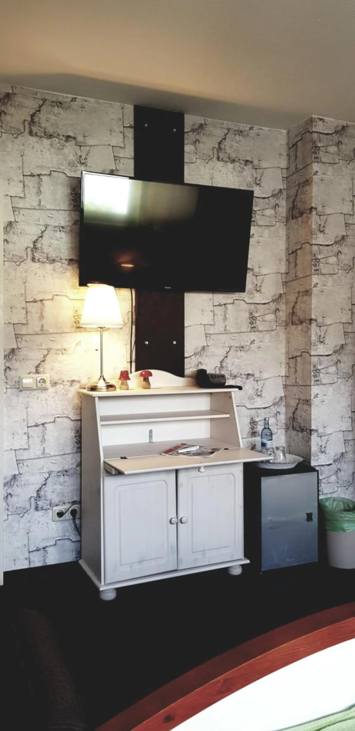 TV and multimedia in Hotel Am Fleesensee