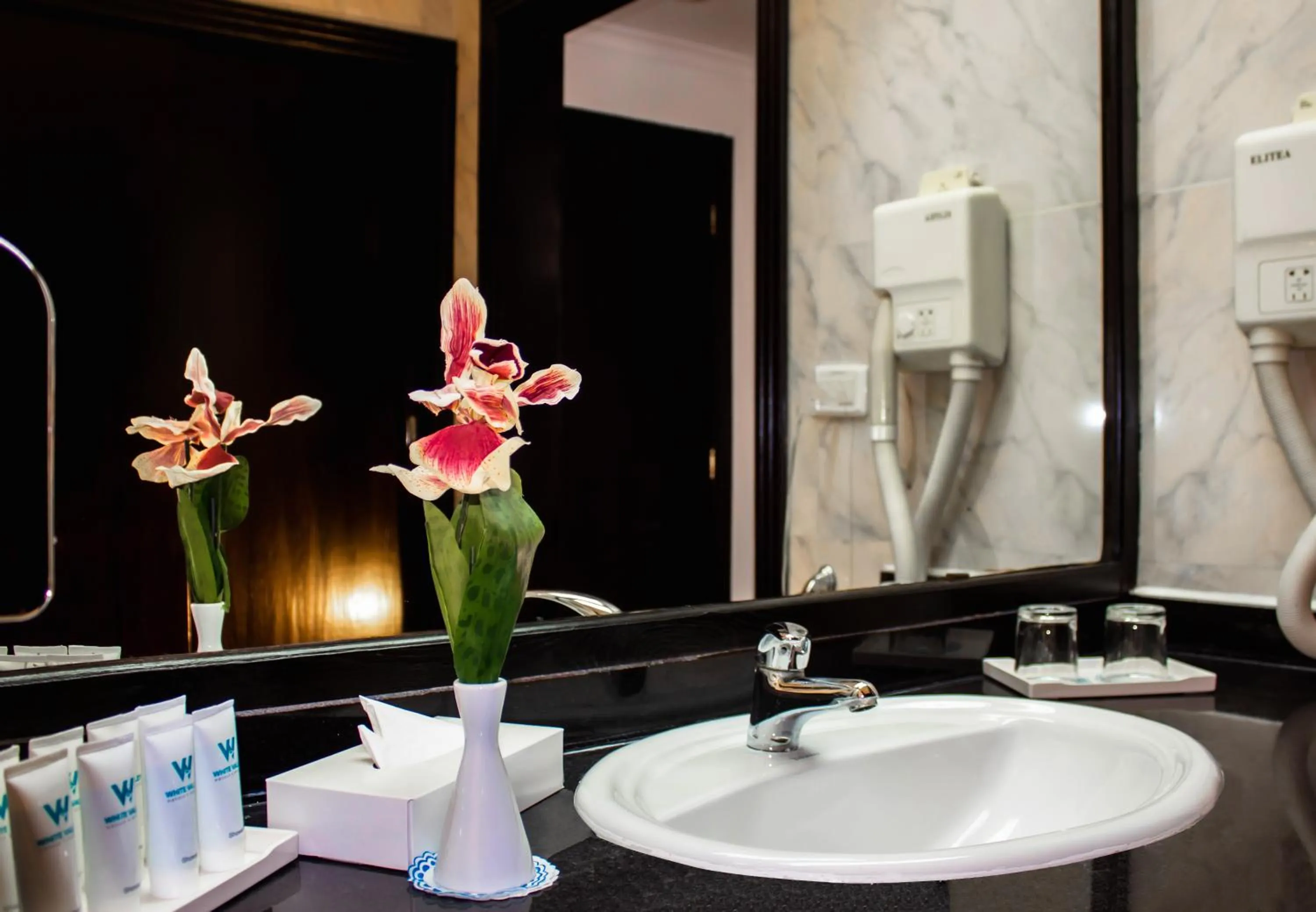 Bathroom in White Valley Palace