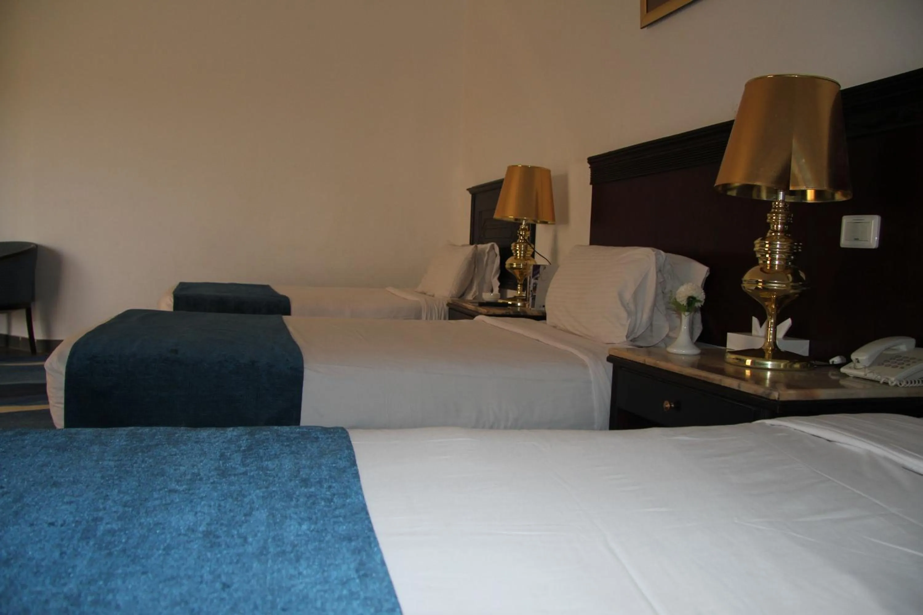 Photo of the whole room in White Valley Palace