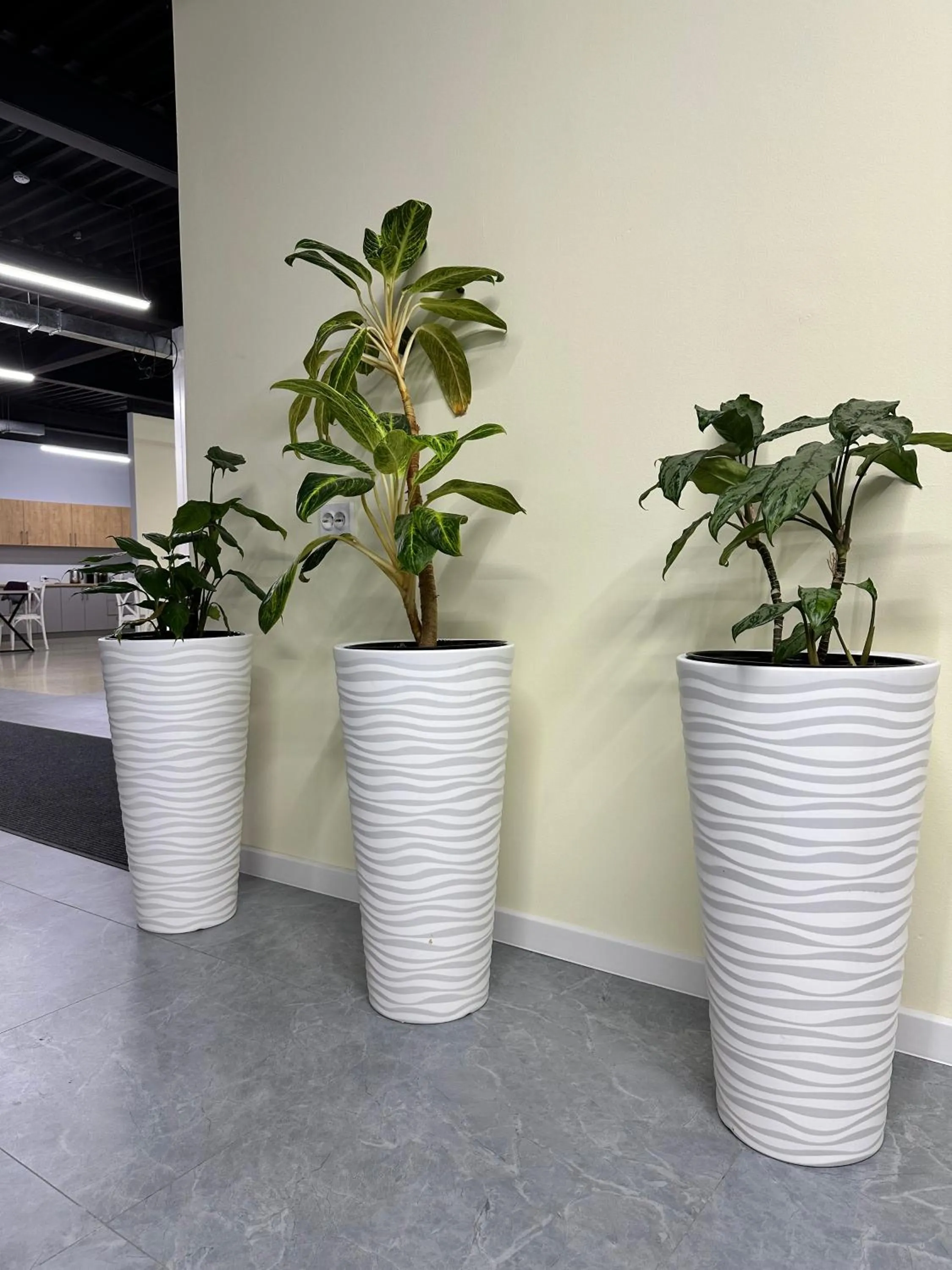 Lobby or reception in Hostel O2