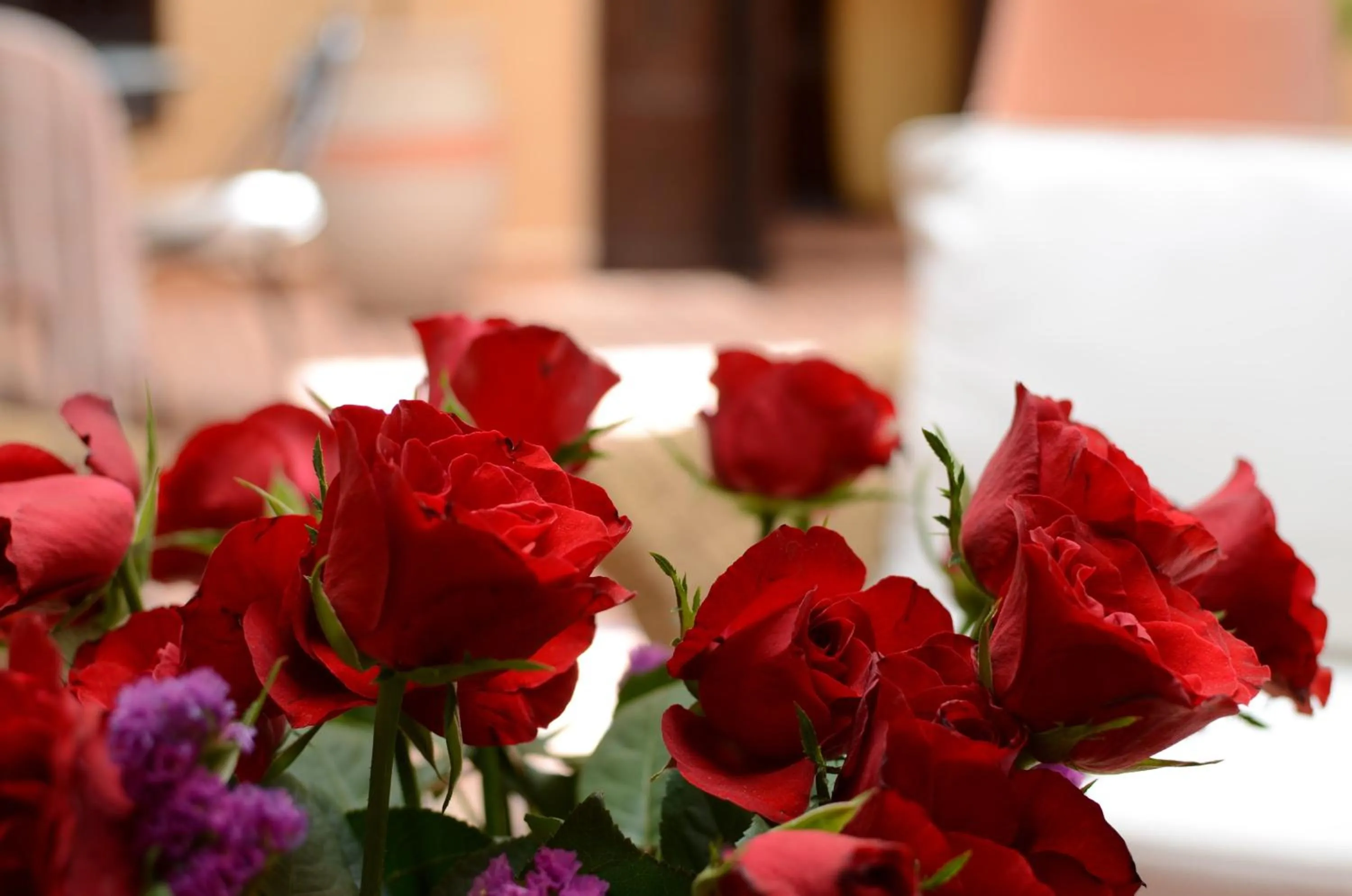 Decorative detail, Bed in Riad Hadda