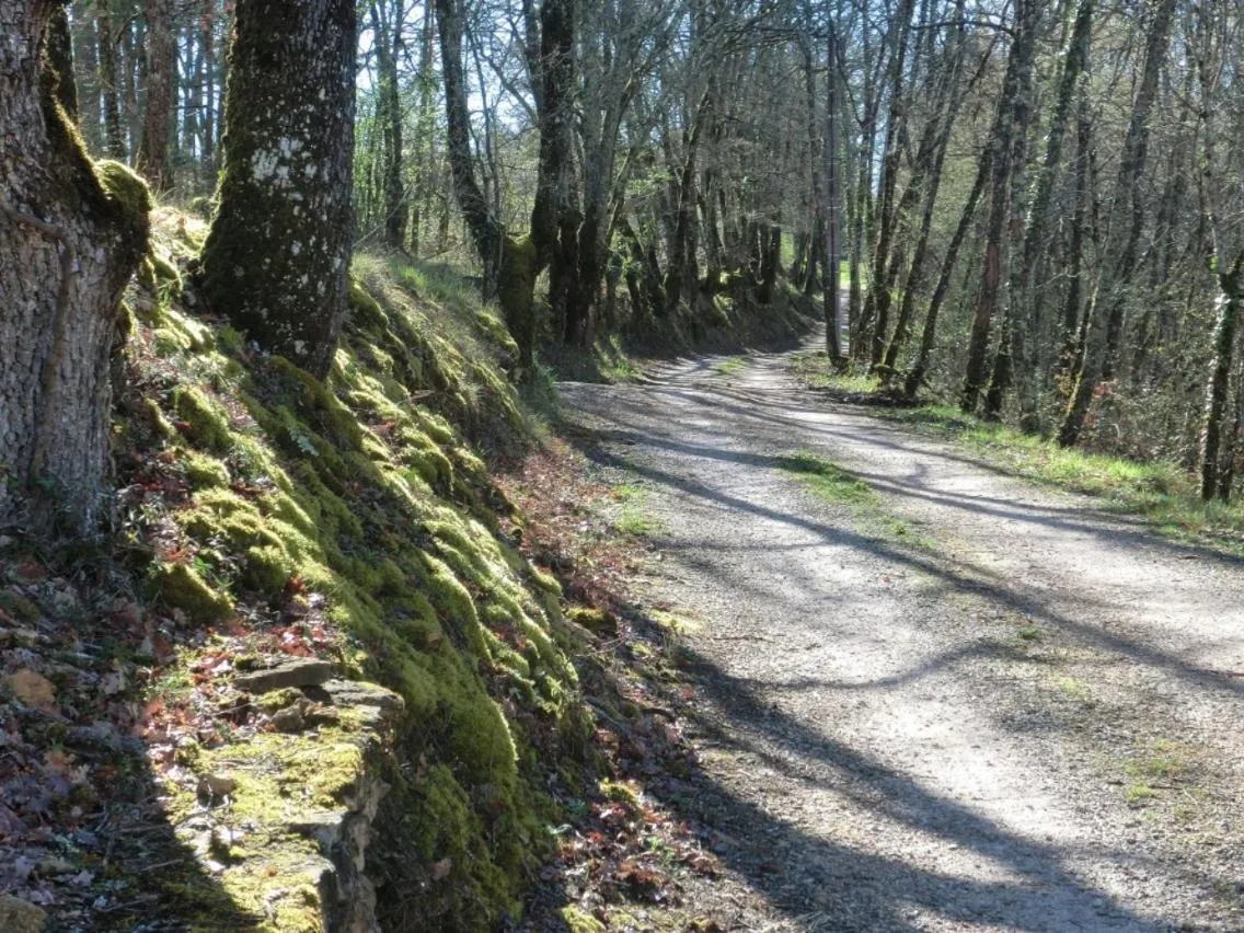 Other in Le Village Enchanteur