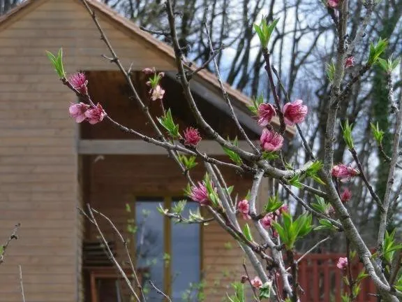 Other in Le Village Enchanteur