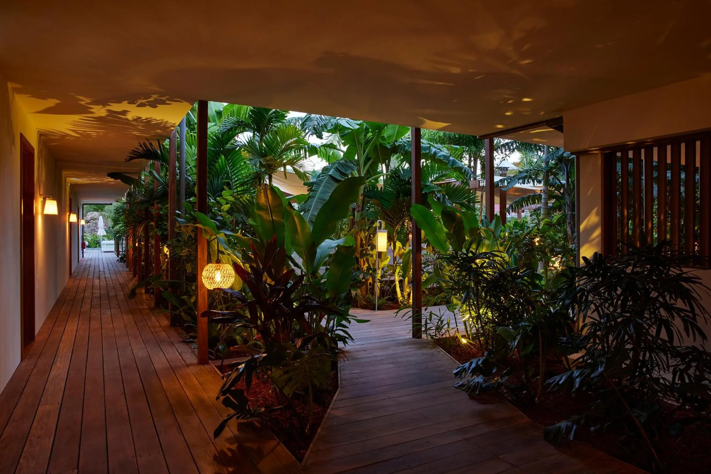 Garden in Tropical Hotel St Barth