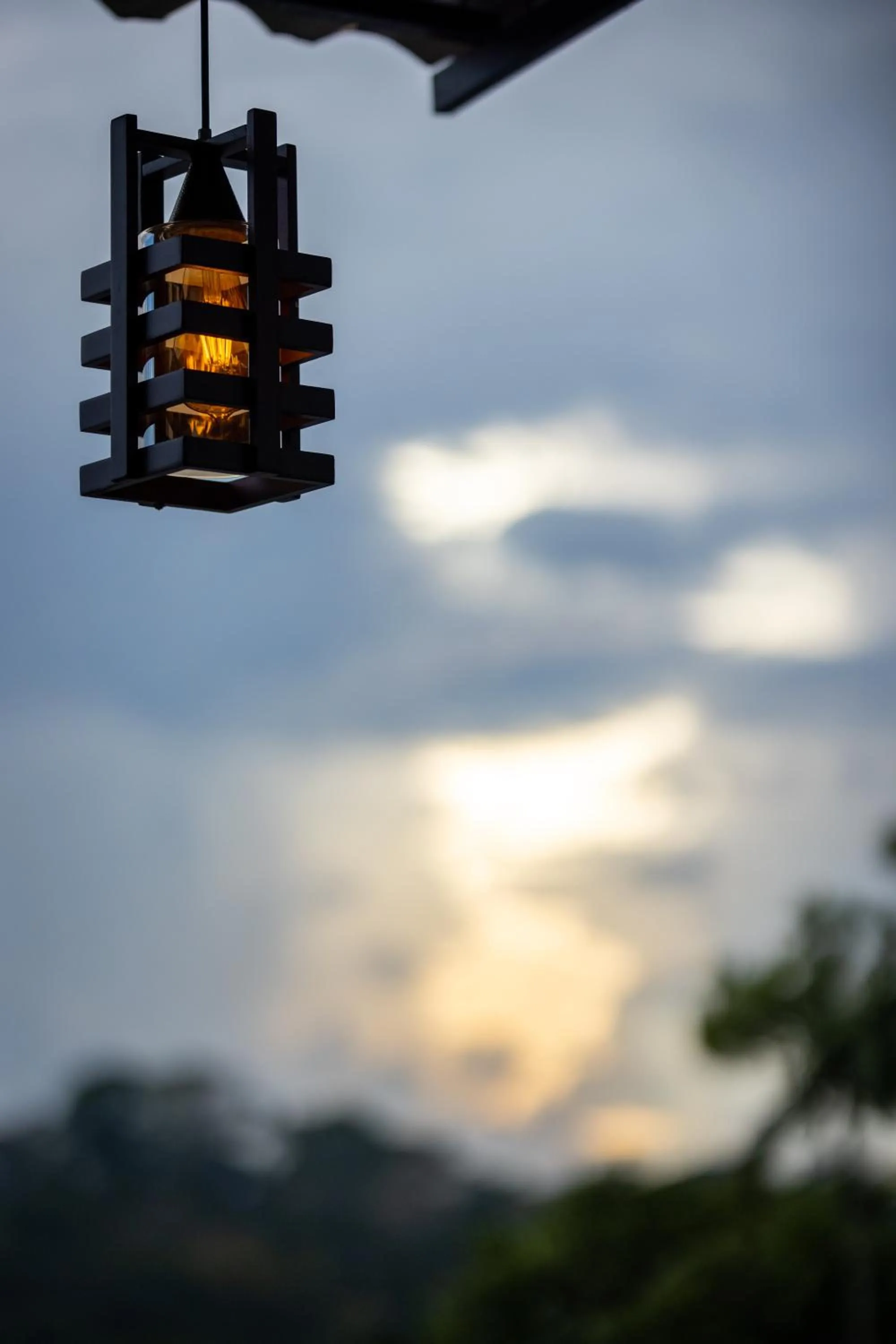 View (from property/room) in Le Serene Munnar Luxury Resorts & Spa