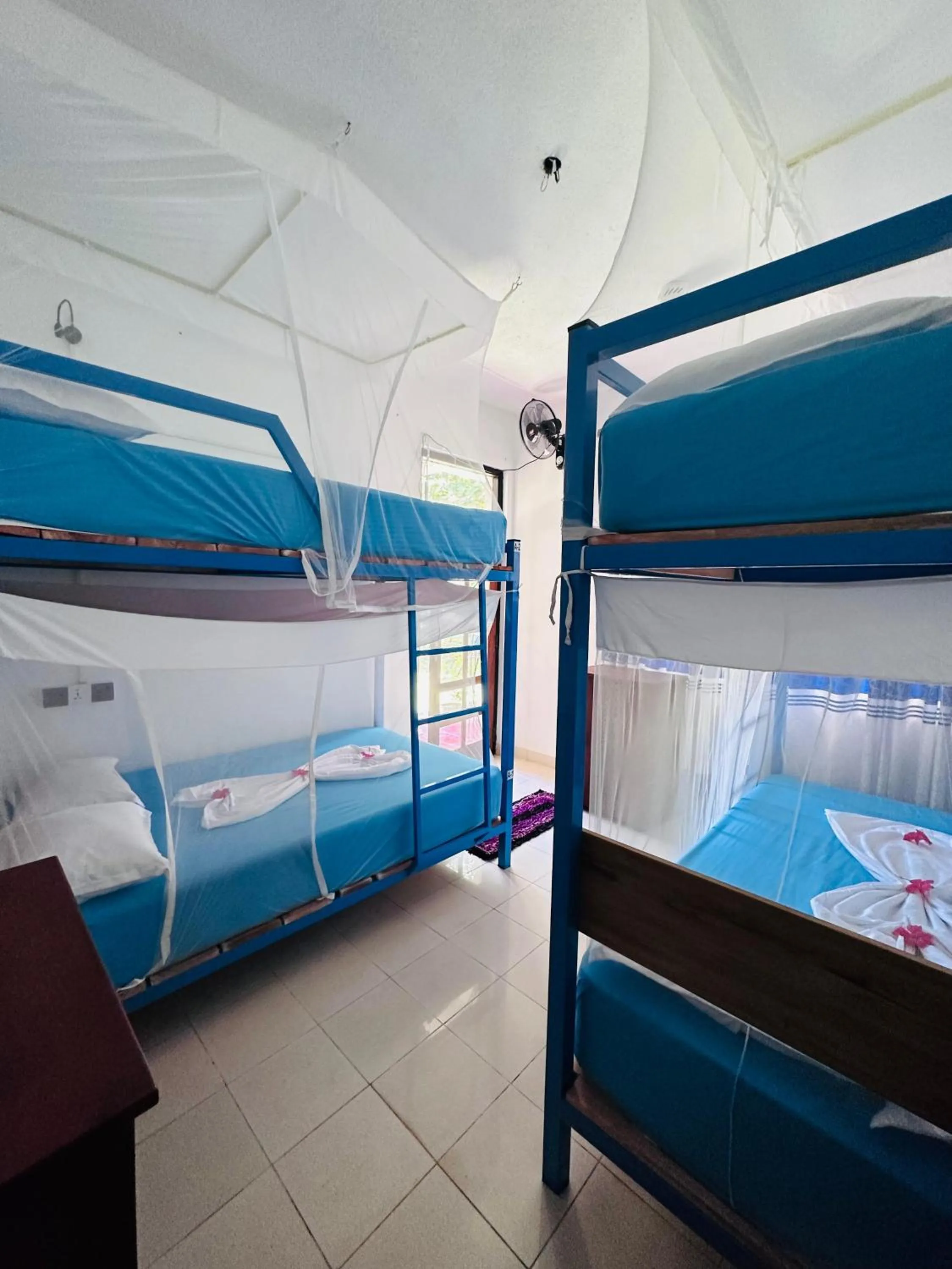bunk bed, Bed in SURF N SPICE - HIRIKETiYA
