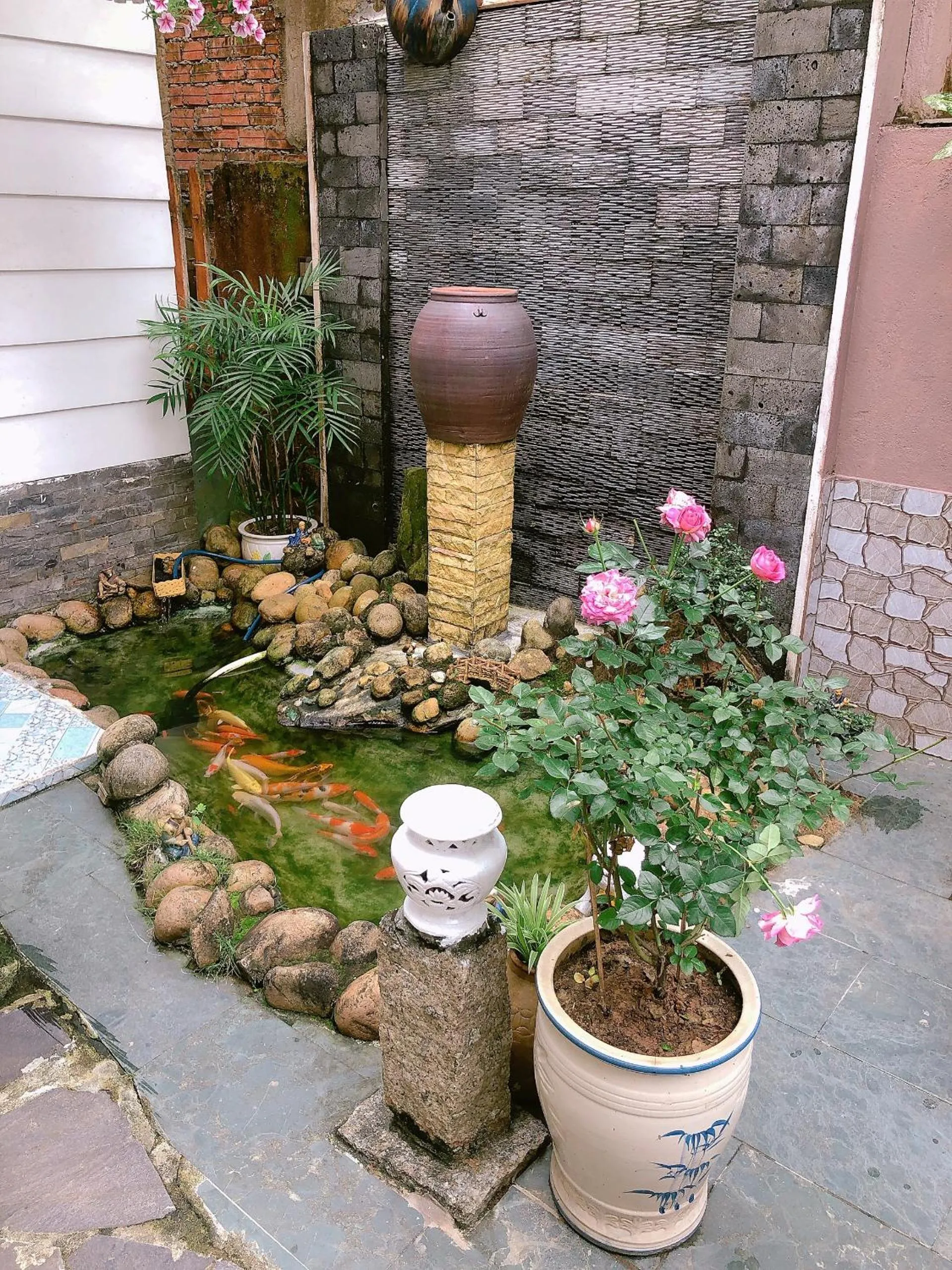 Garden in Green Garden Homestay