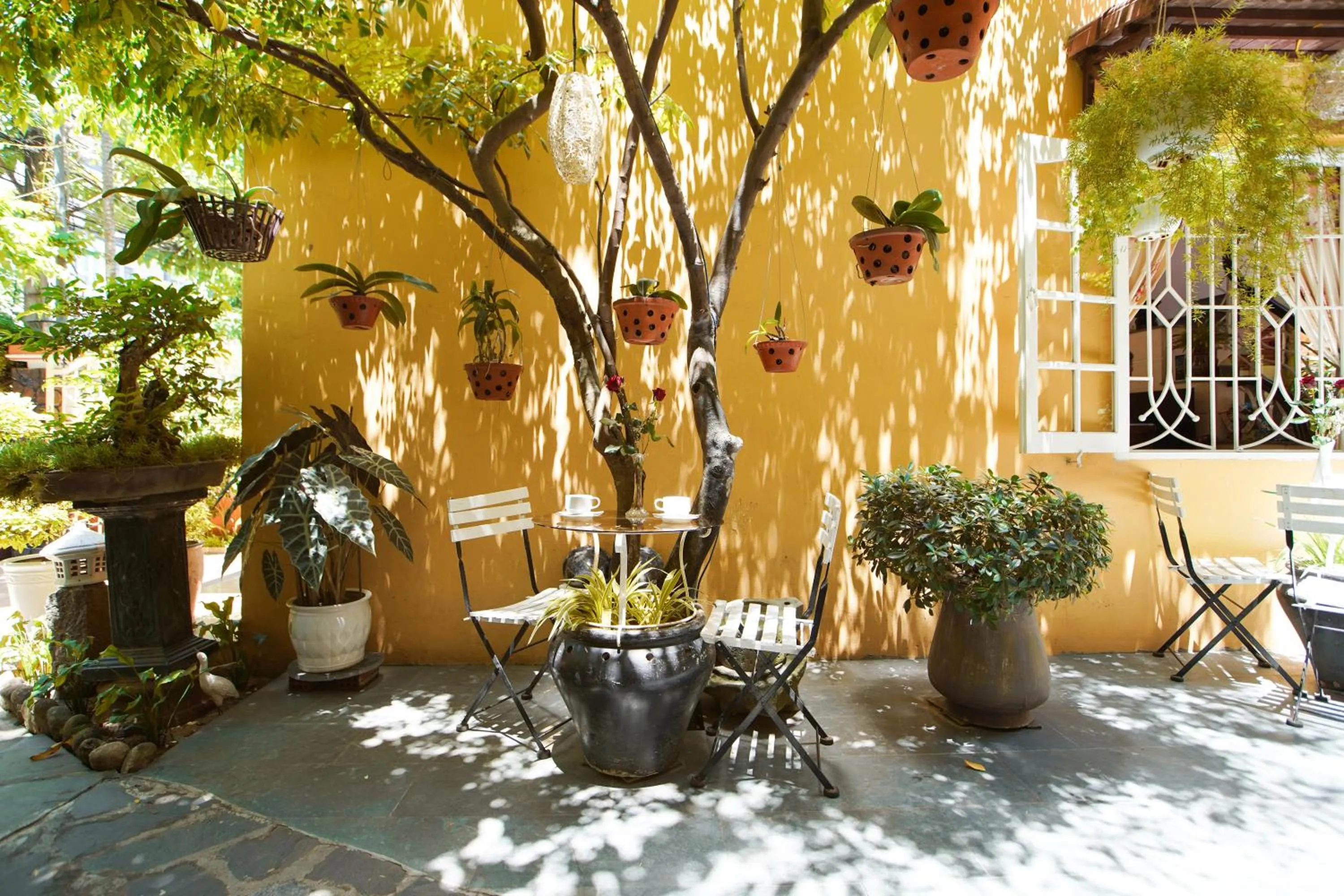 Garden in Green Garden Homestay