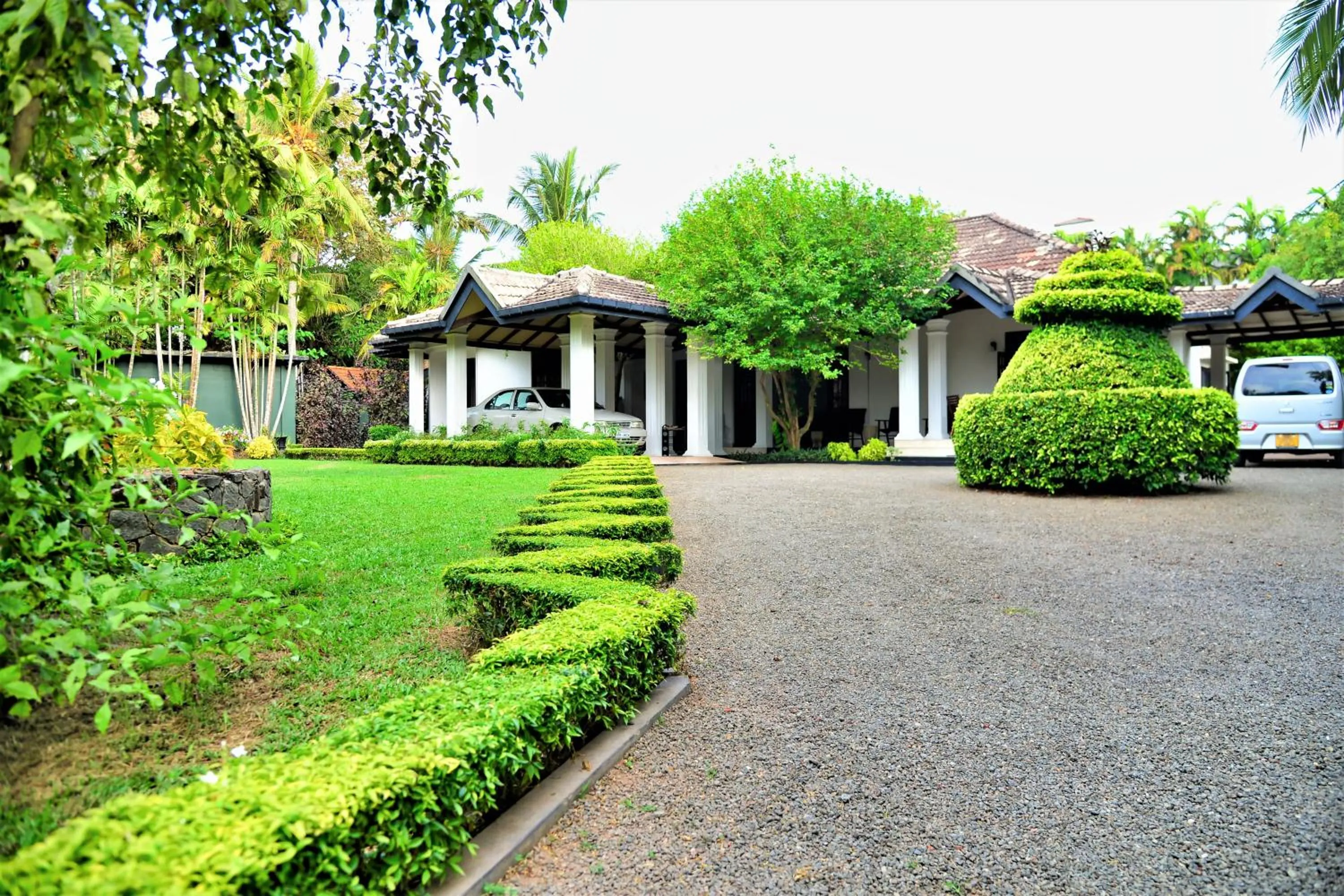 Garden in Camellia Dwelling