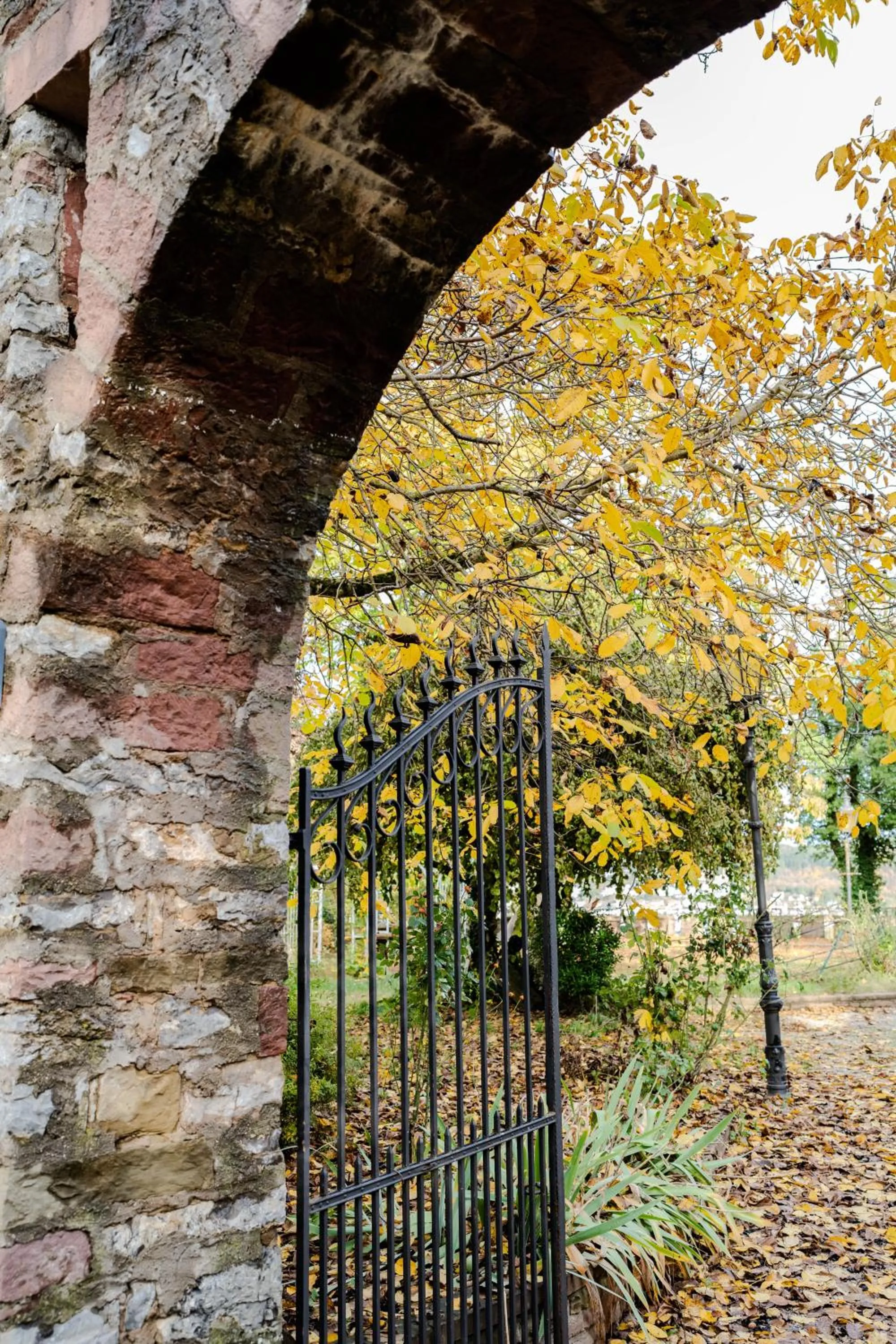 Garden view in Eventlocation & Hotel Schloss Neuburg