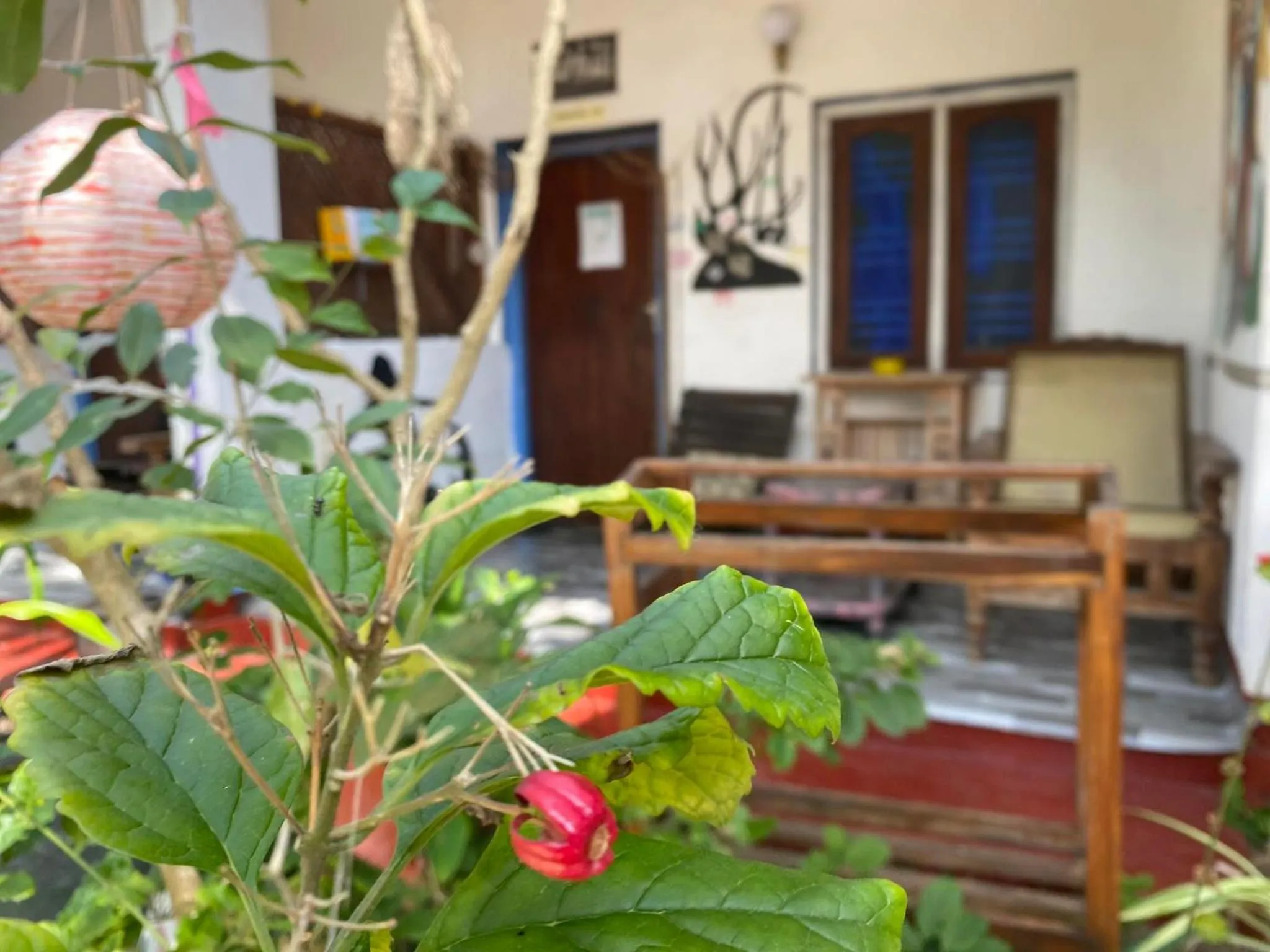 Star Rest Beach Hotel