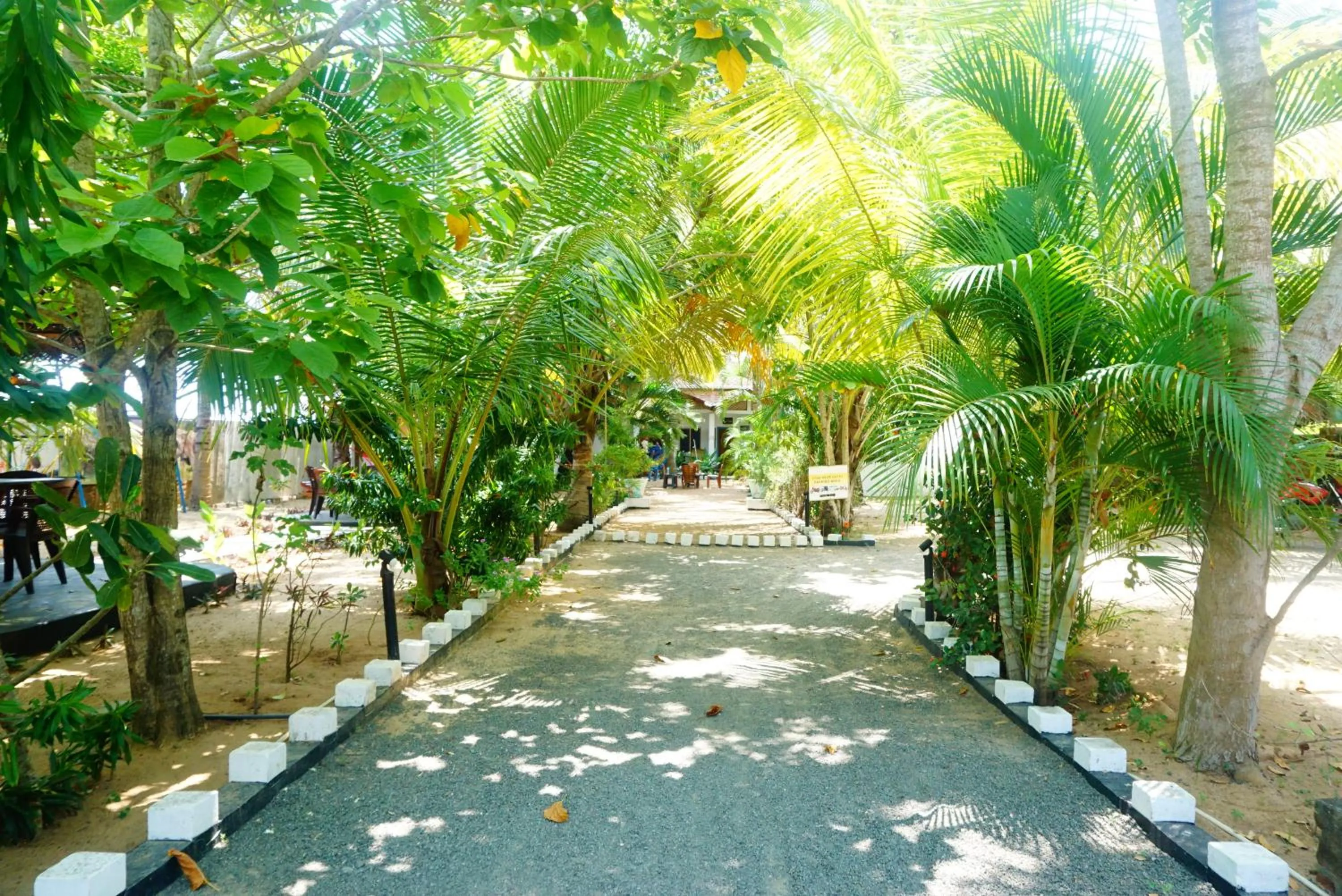 Garden view in Star Rest Beach Hotel