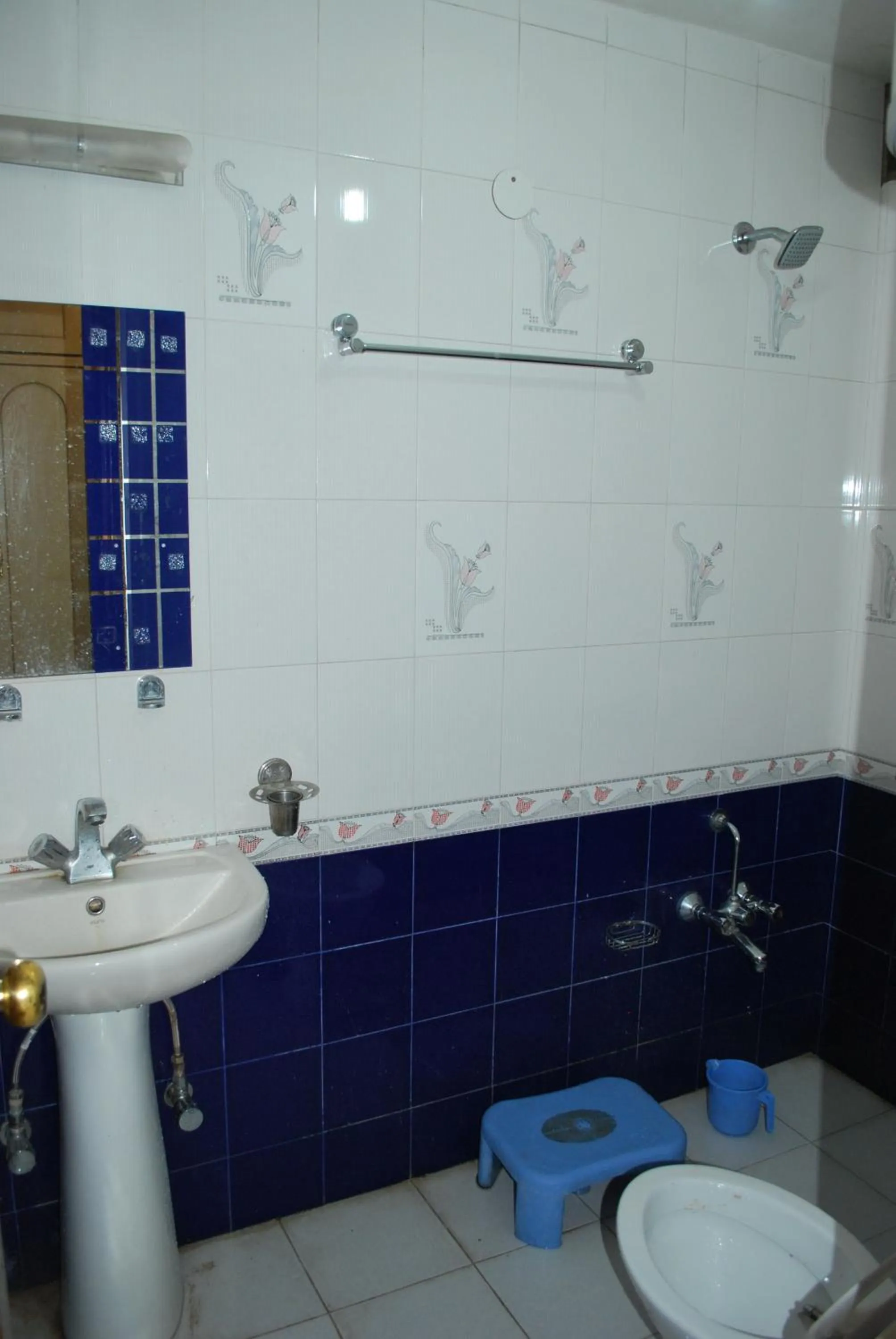 Bathroom in Hotel Gulistan