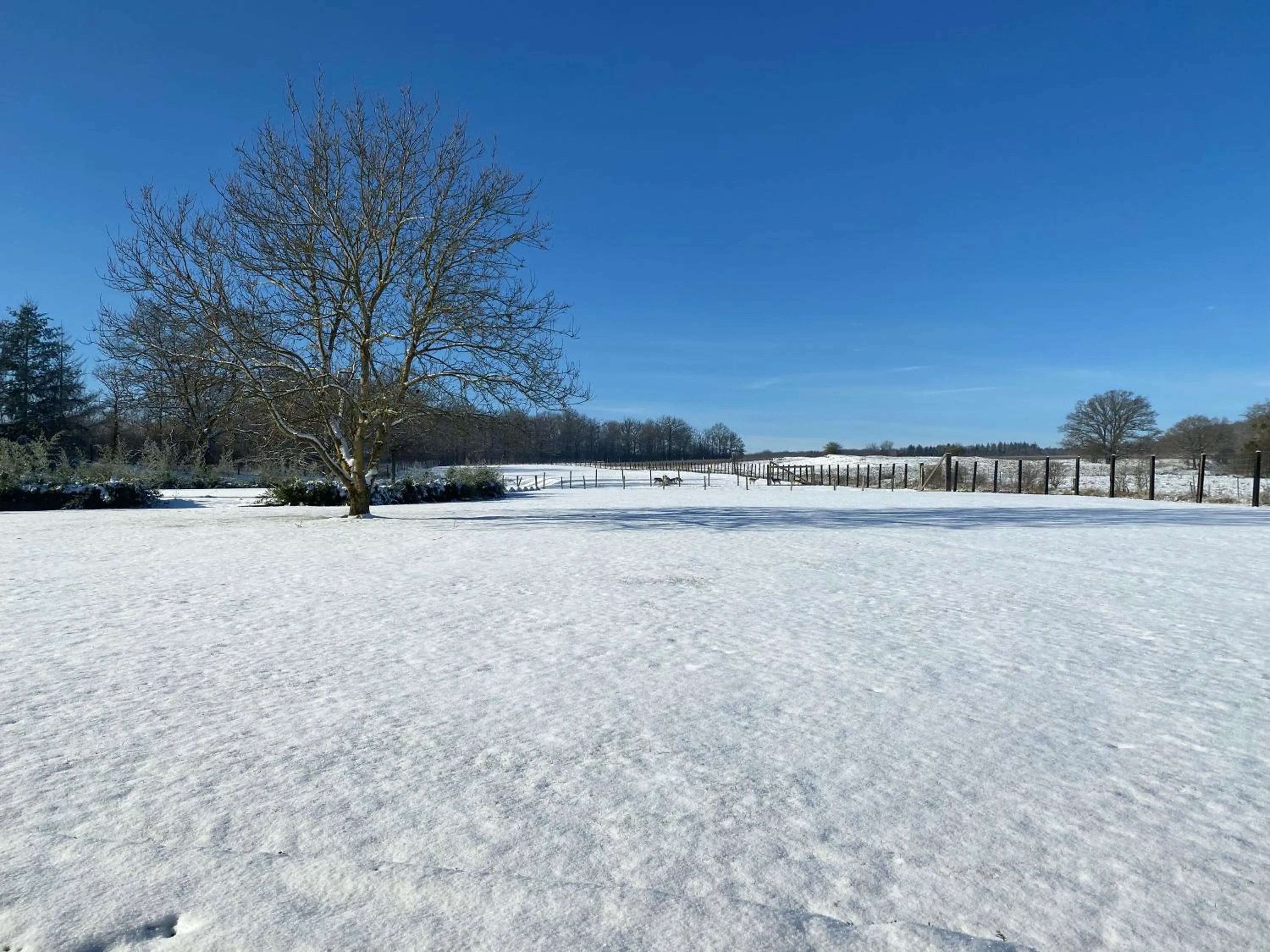 Natural landscape in B&B Le Briquemont