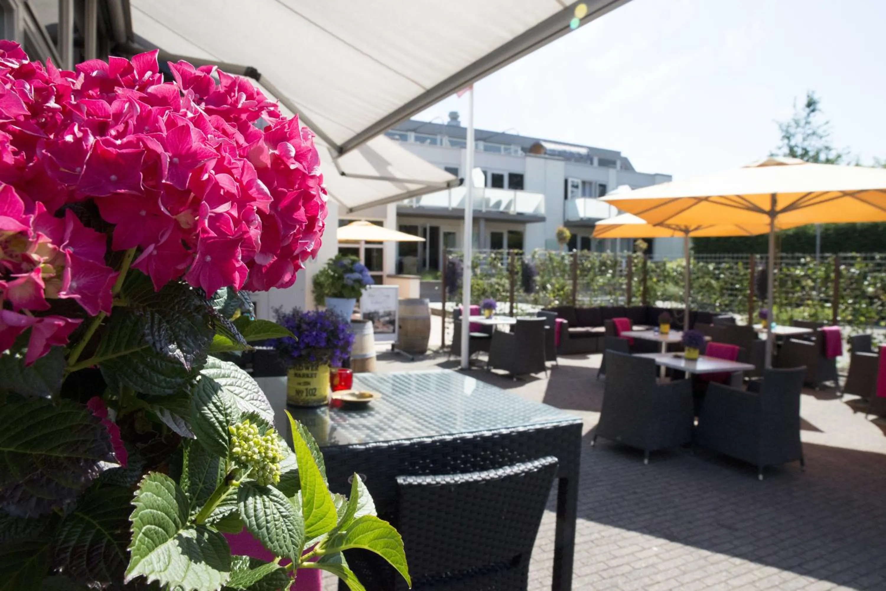 Patio in Strandhotel Bos en Duin