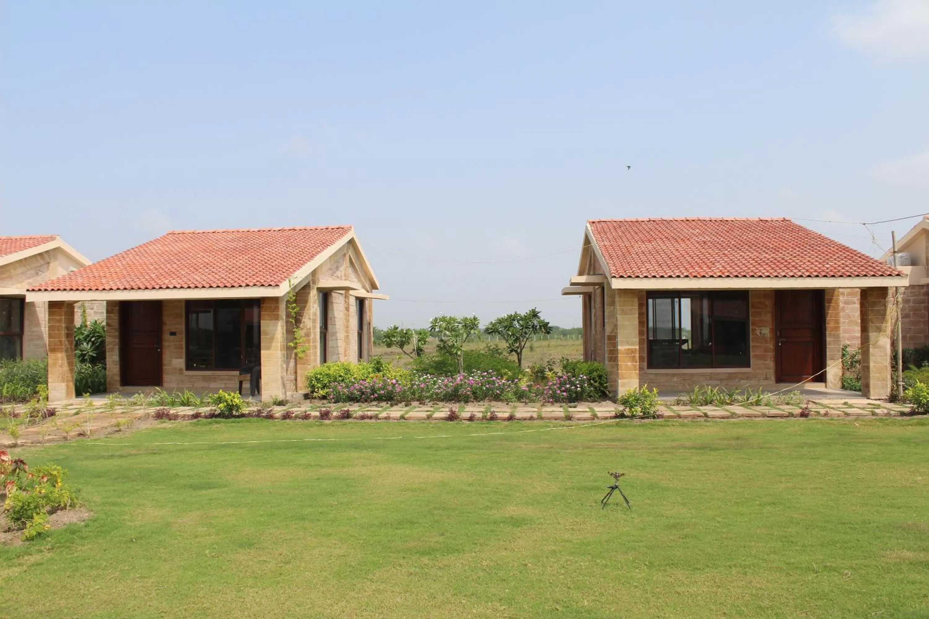 The Blackbuck Trails Velavadar