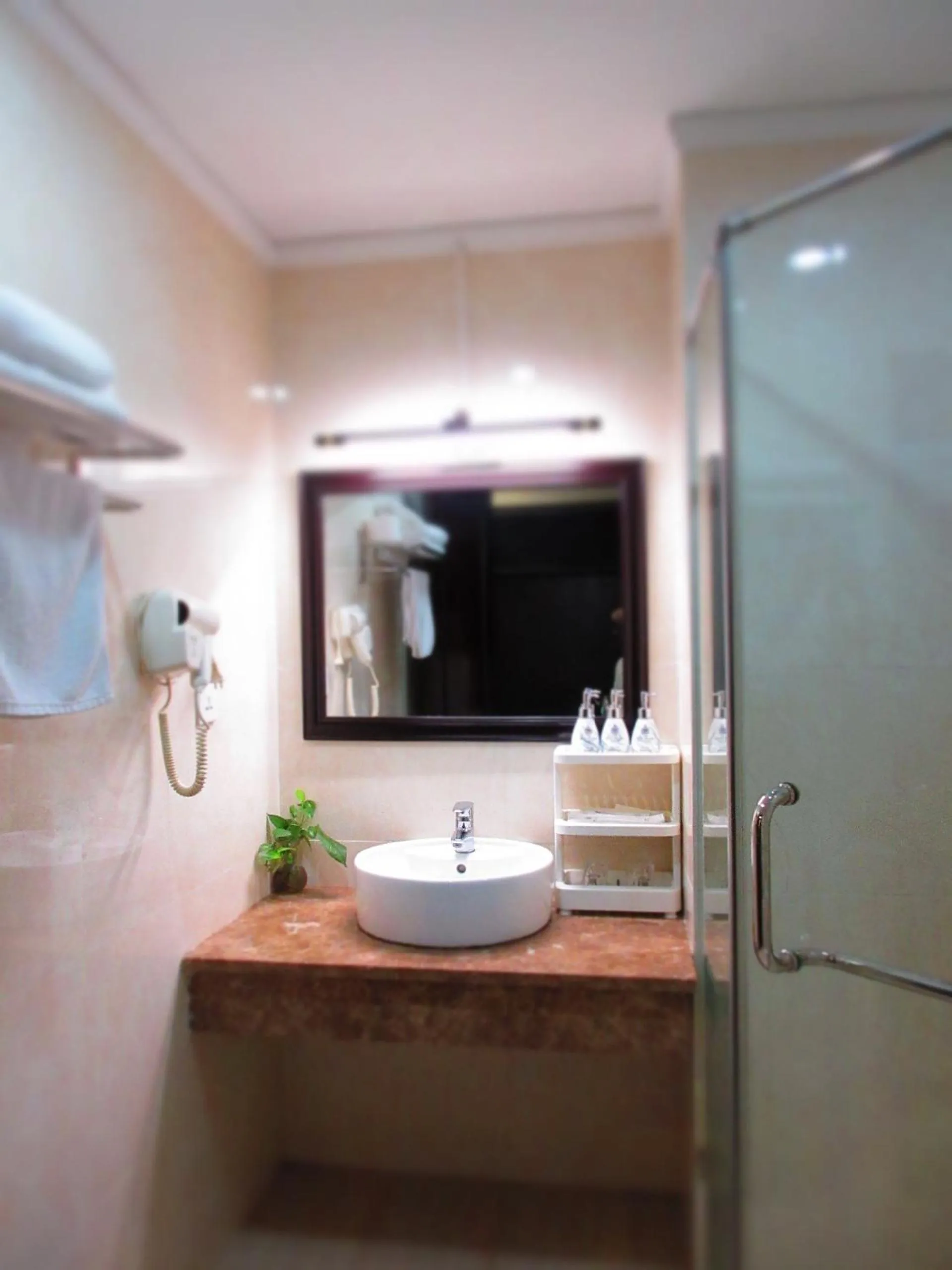 Shower in MAY PLAZA HOTEL