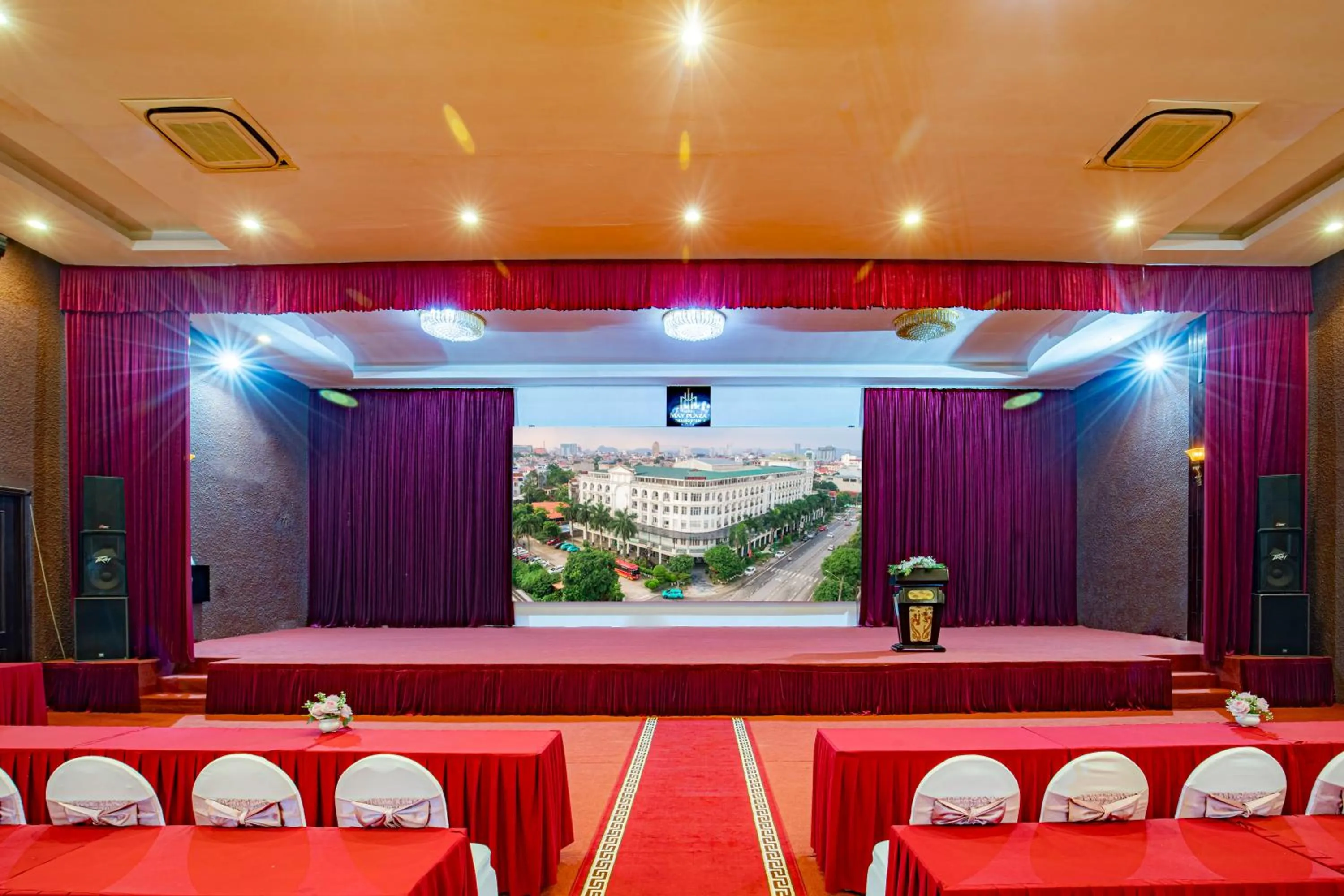 TV and multimedia in MAY PLAZA HOTEL