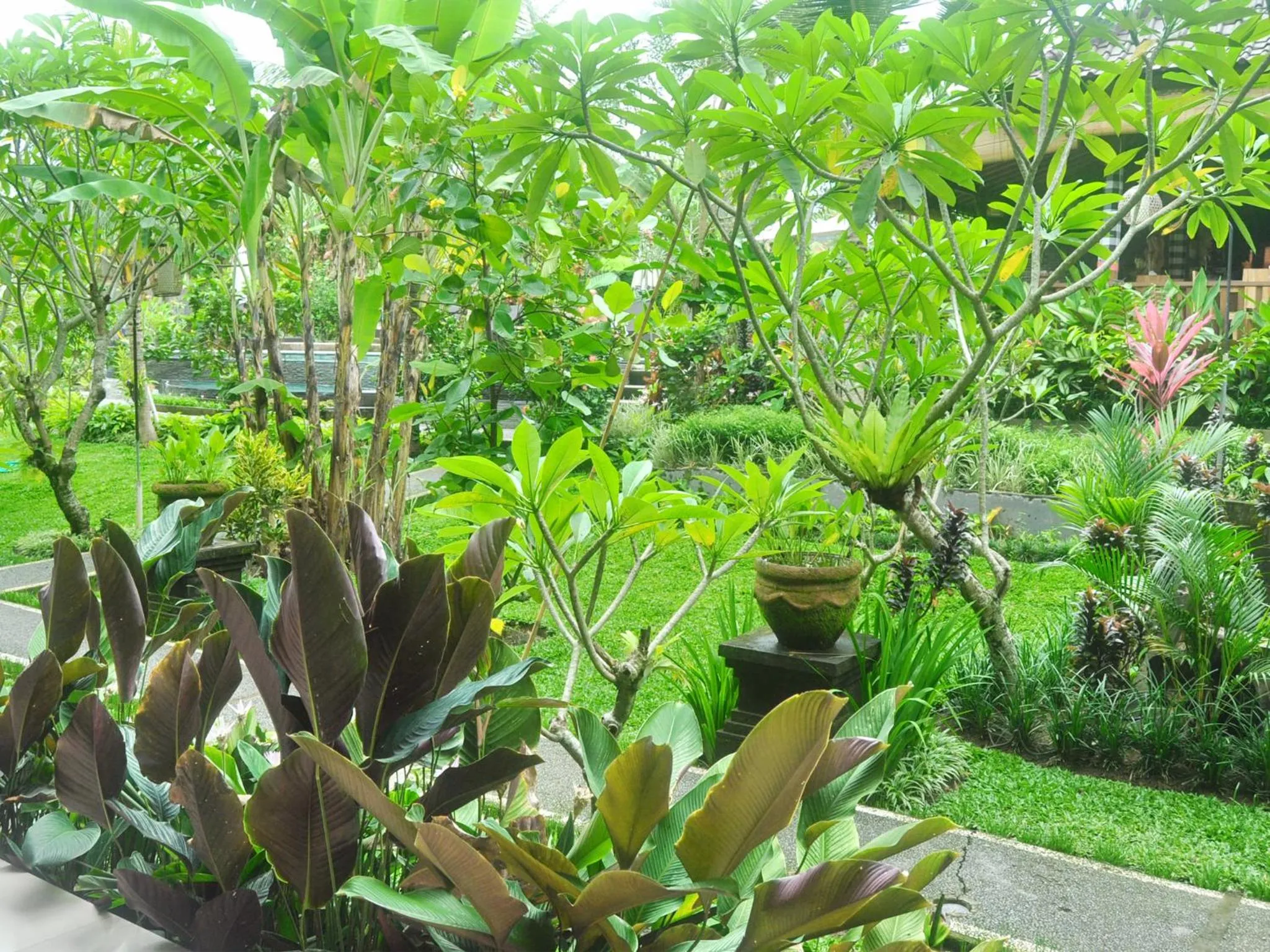 Garden view in Bucu Guest House