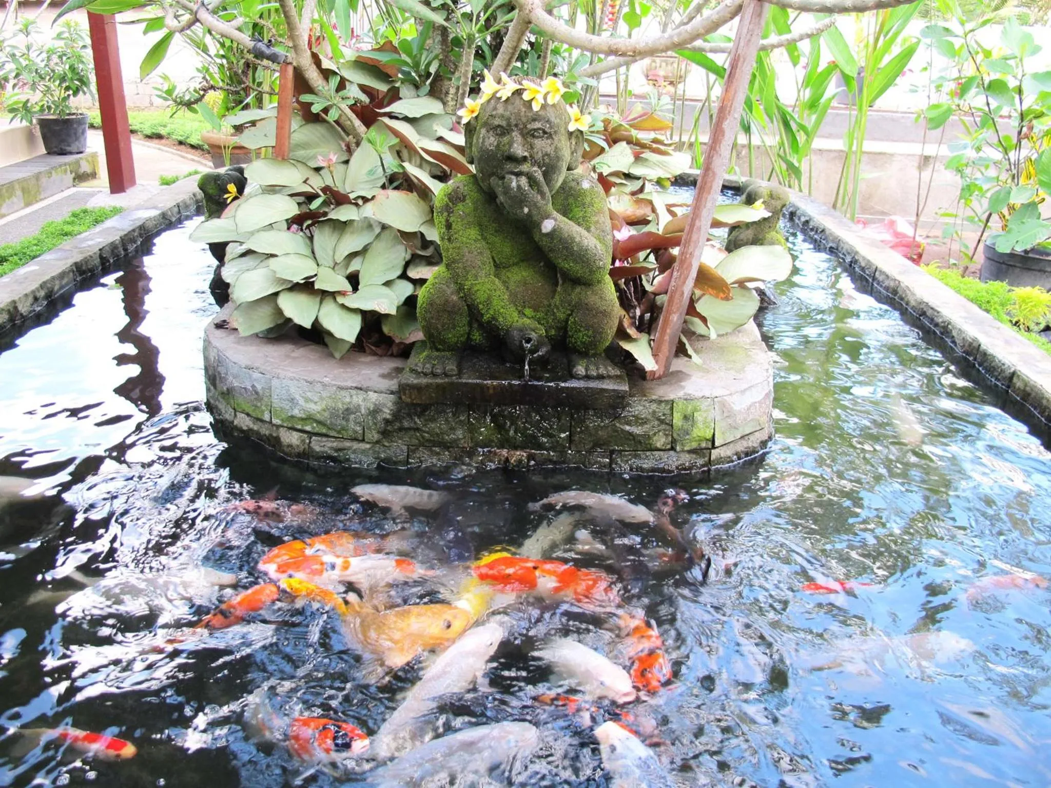 Area and facilities in Bucu Guest House