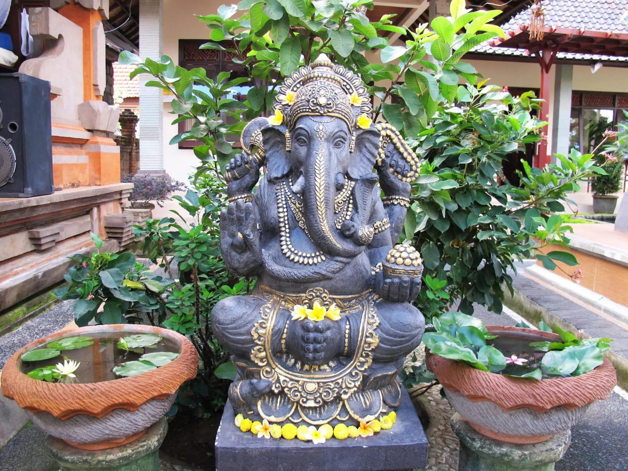 Area and facilities in Bucu Guest House