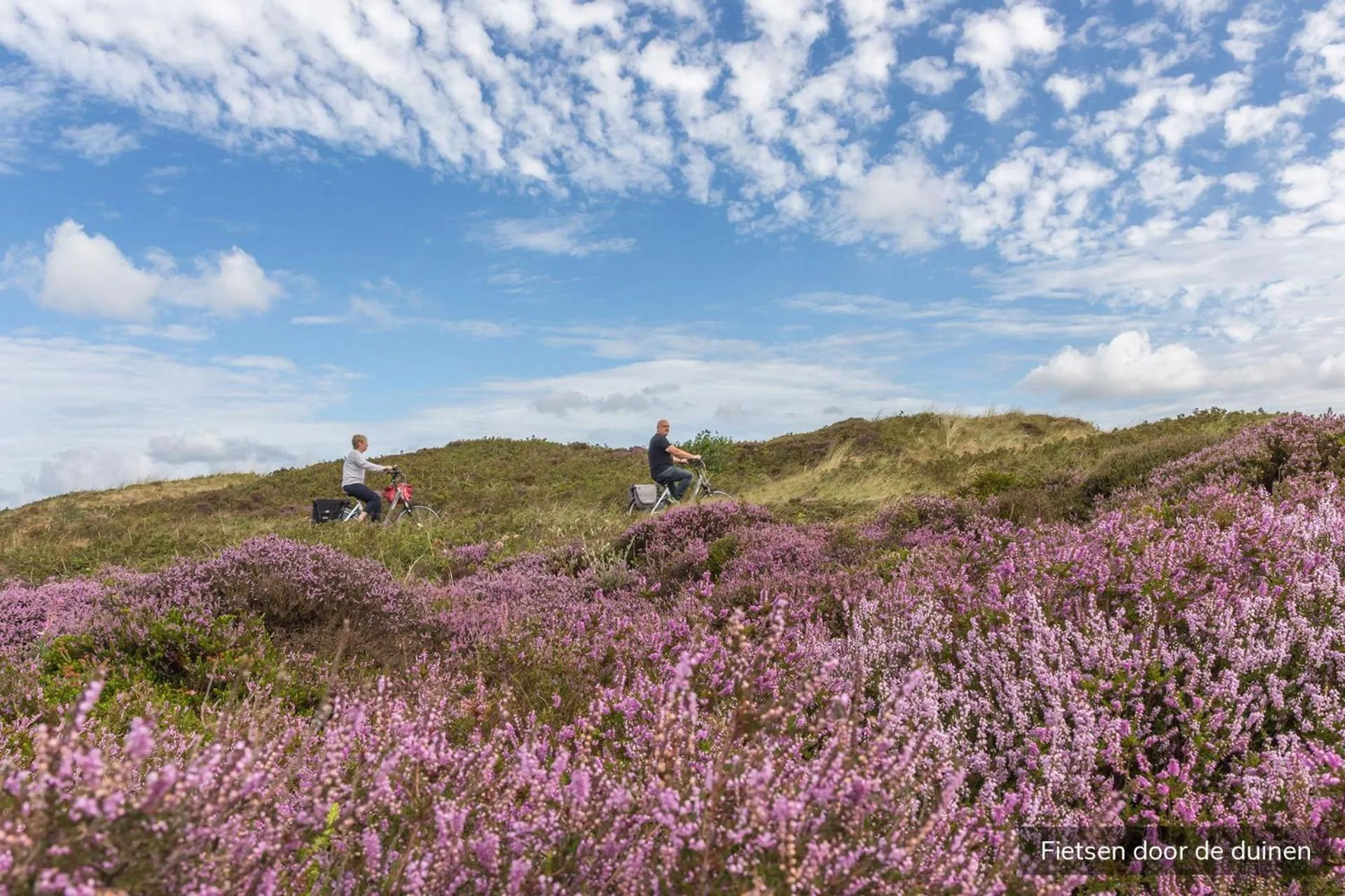Natural landscape in Hotel Molenbos Texel