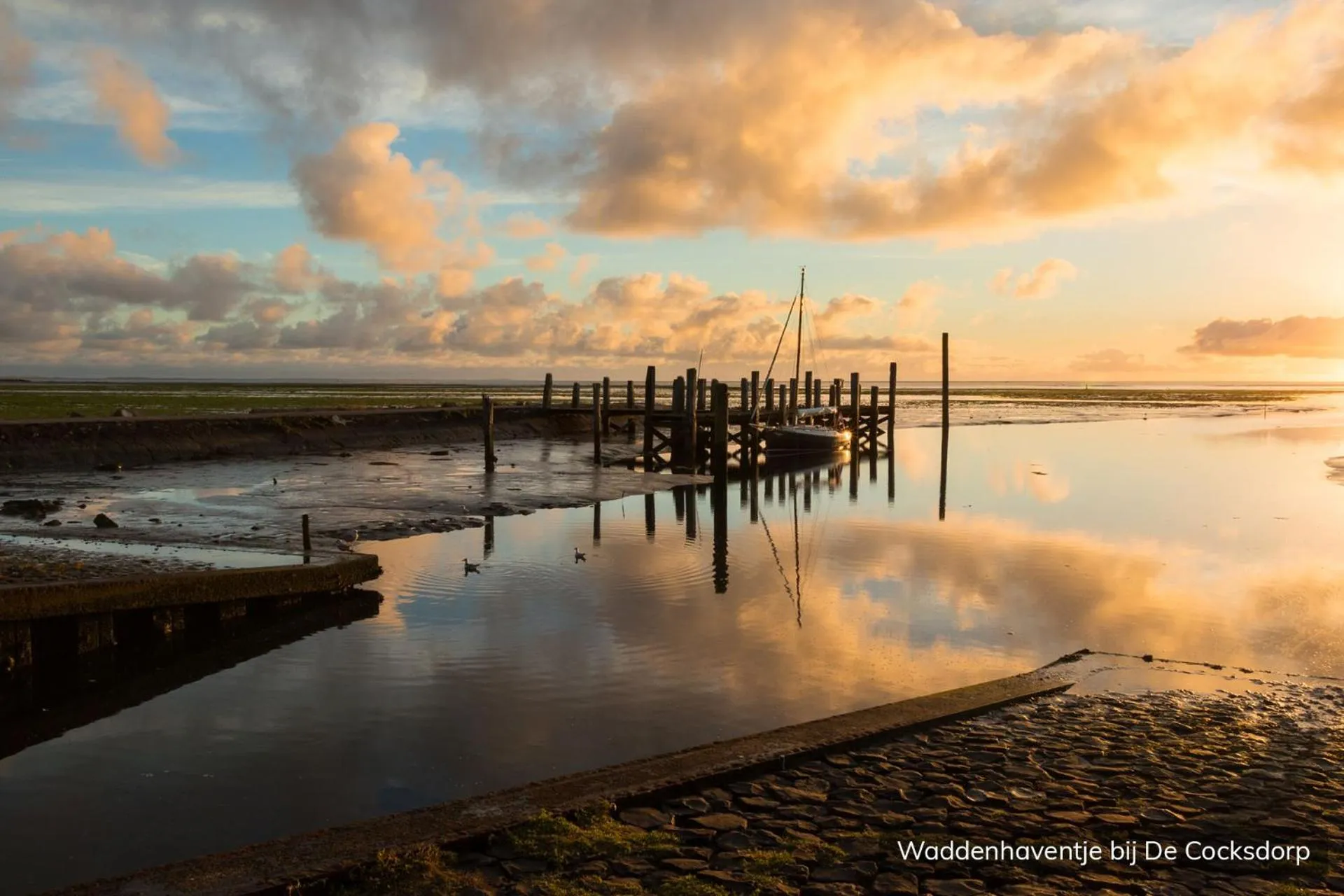 Nearby landmark in Hotel Molenbos Texel