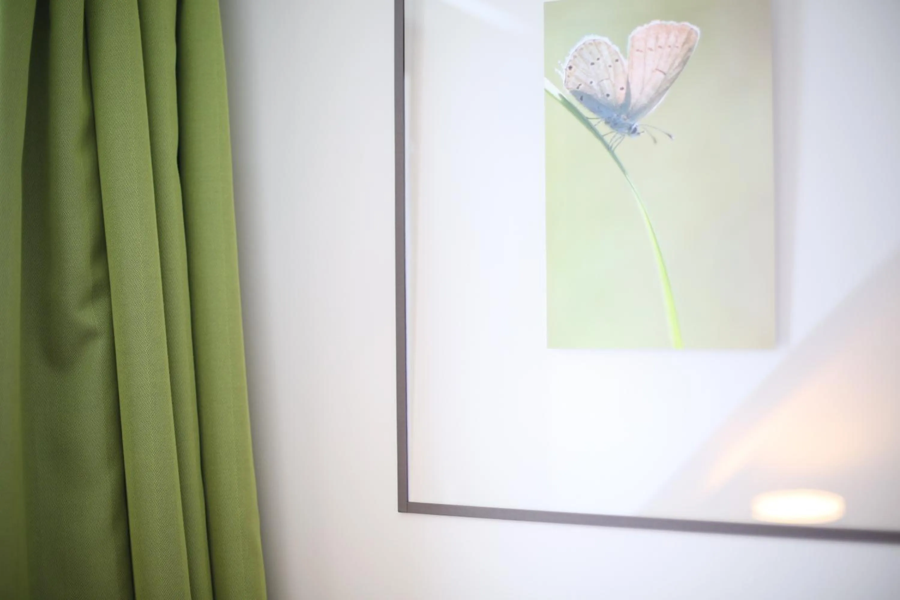 Decorative detail in Val Lachard