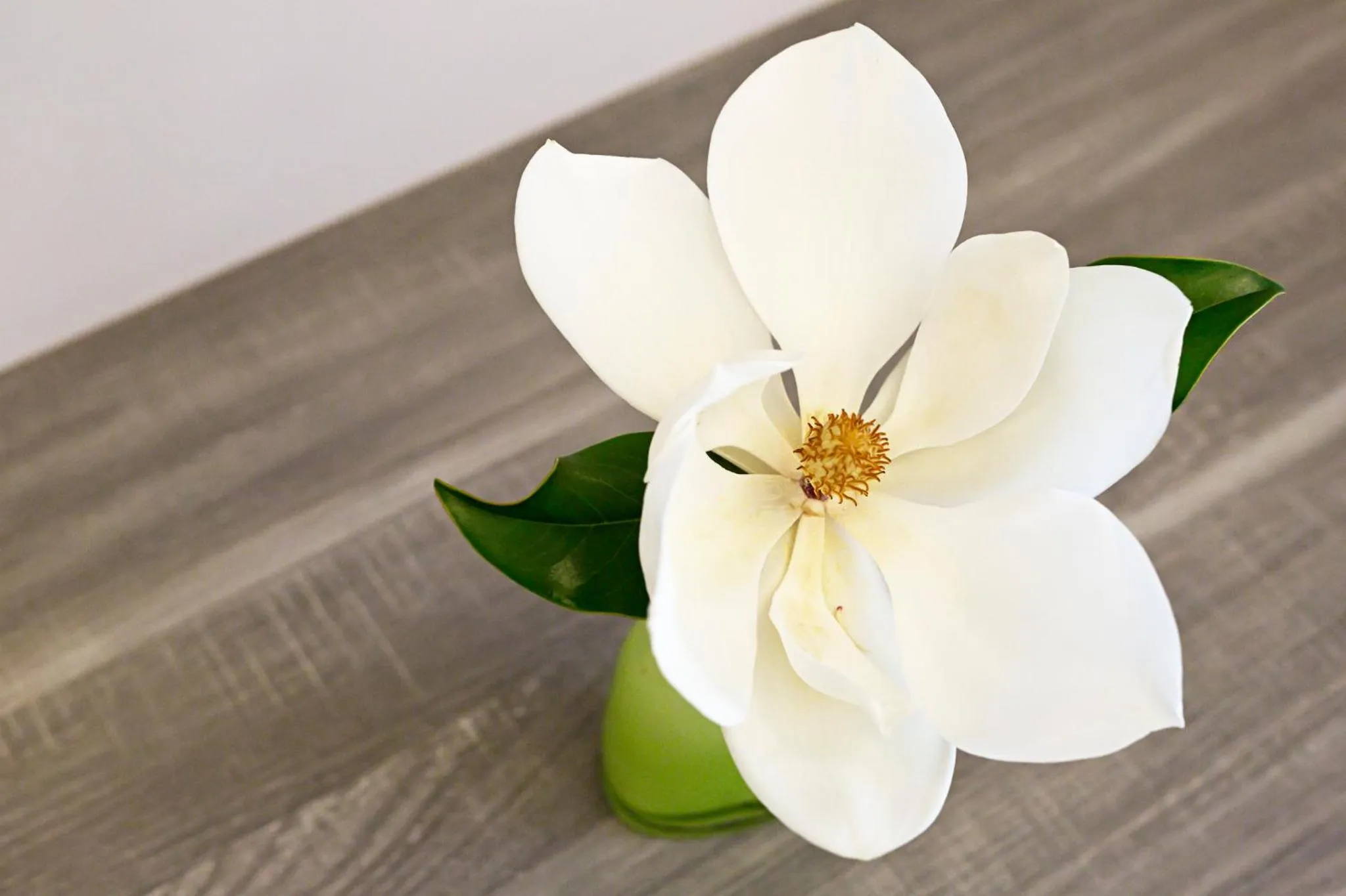 Property building in Hotel Tiro a Volo