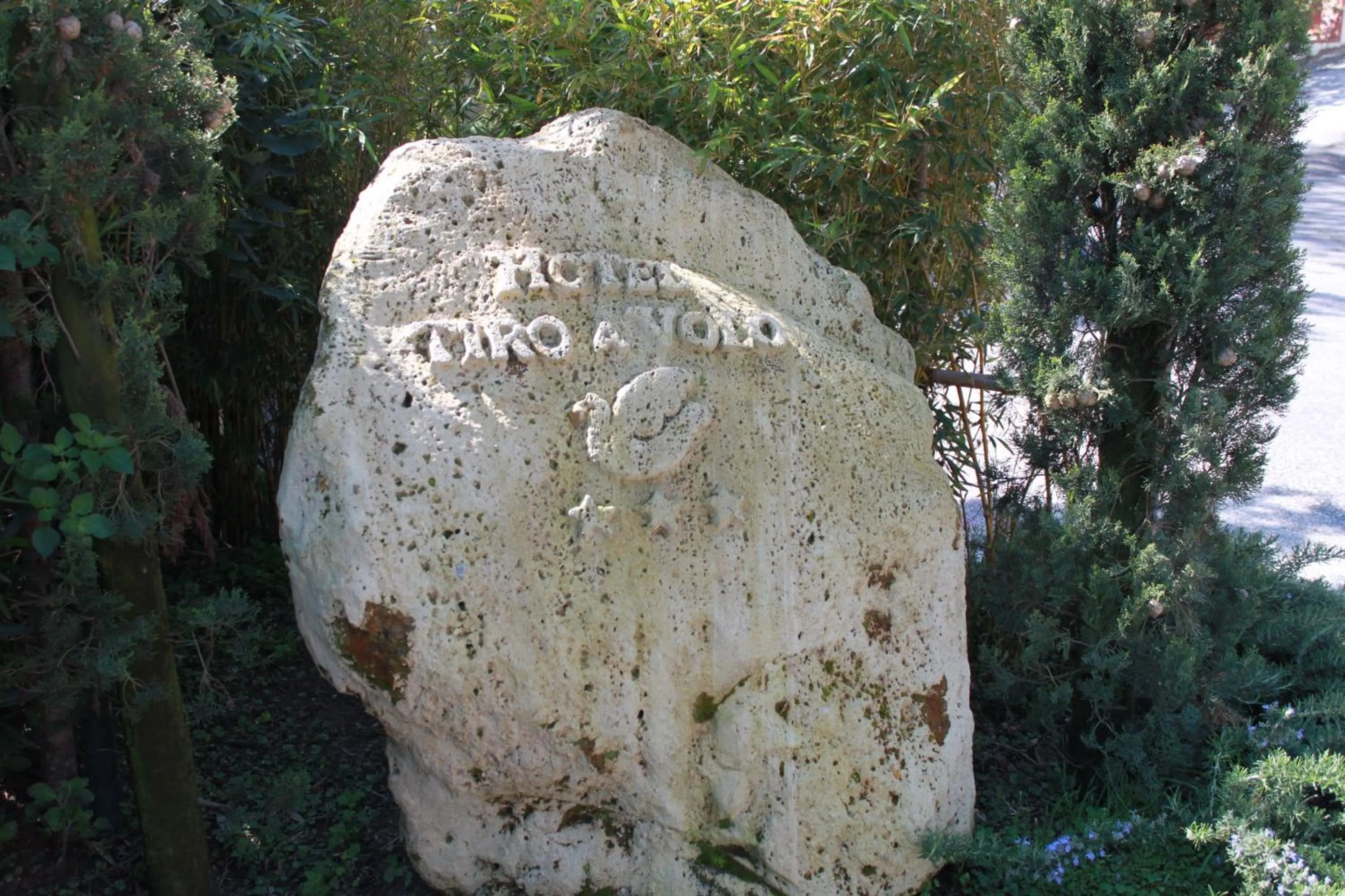 Property logo or sign in Hotel Tiro a Volo