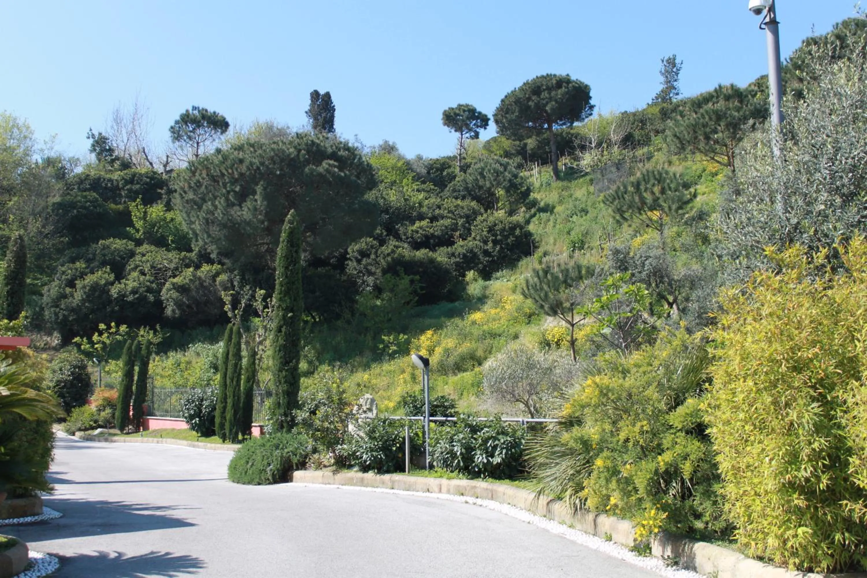 Day in Hotel Tiro a Volo