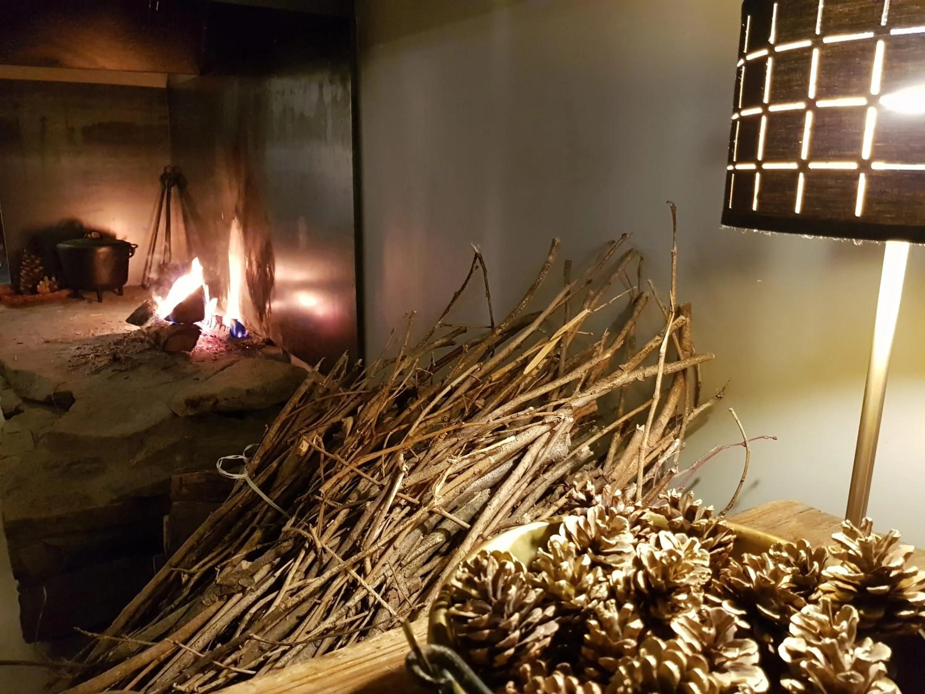 Lounge or bar in Chalet Christine