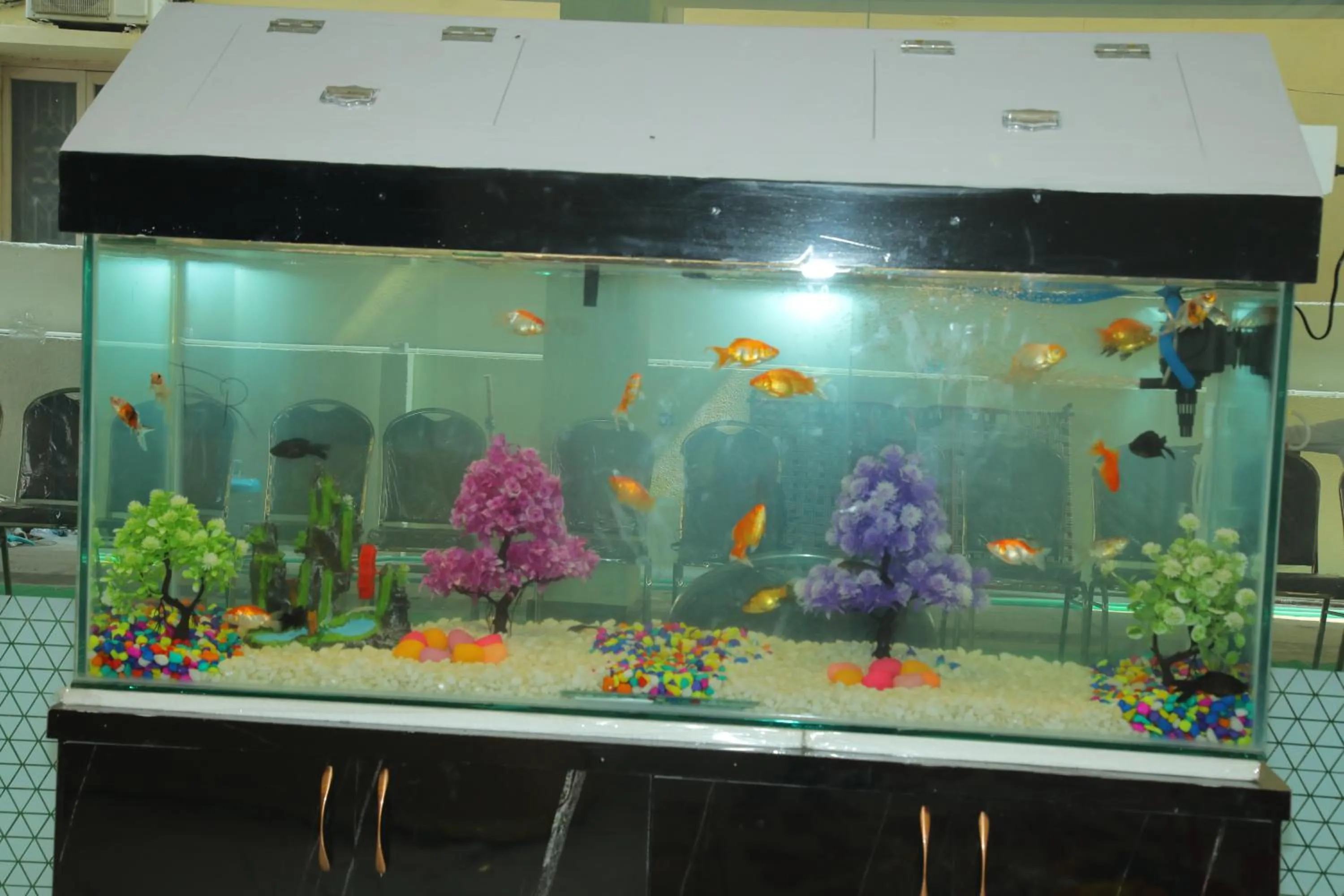 RADHA RANI RESIDENCY