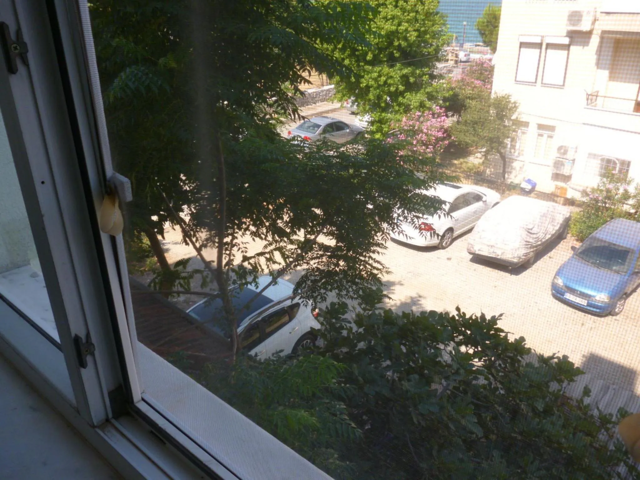 Area and facilities in Cicek Hotel & Apartments