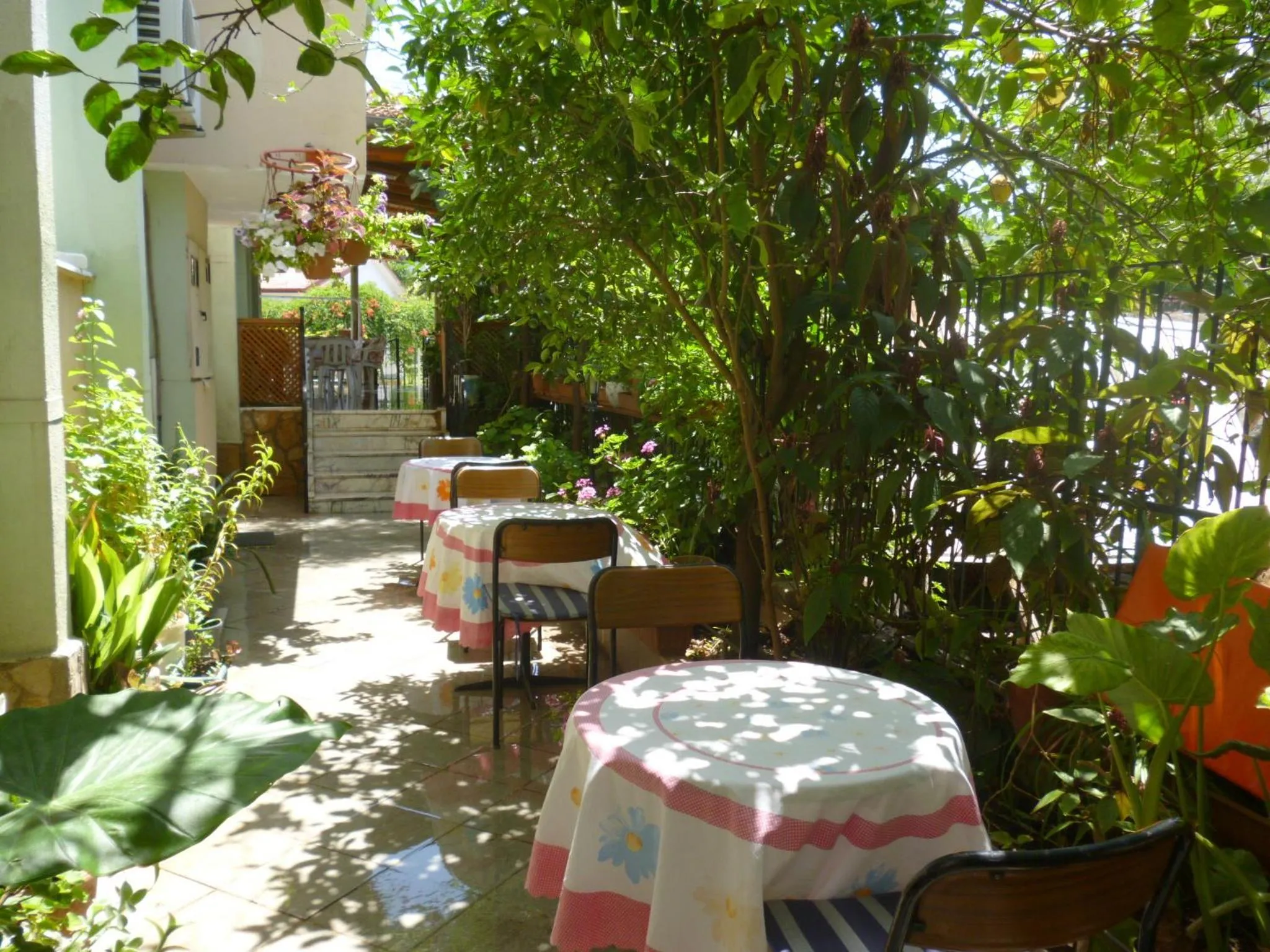 Garden in Cicek Hotel & Apartments