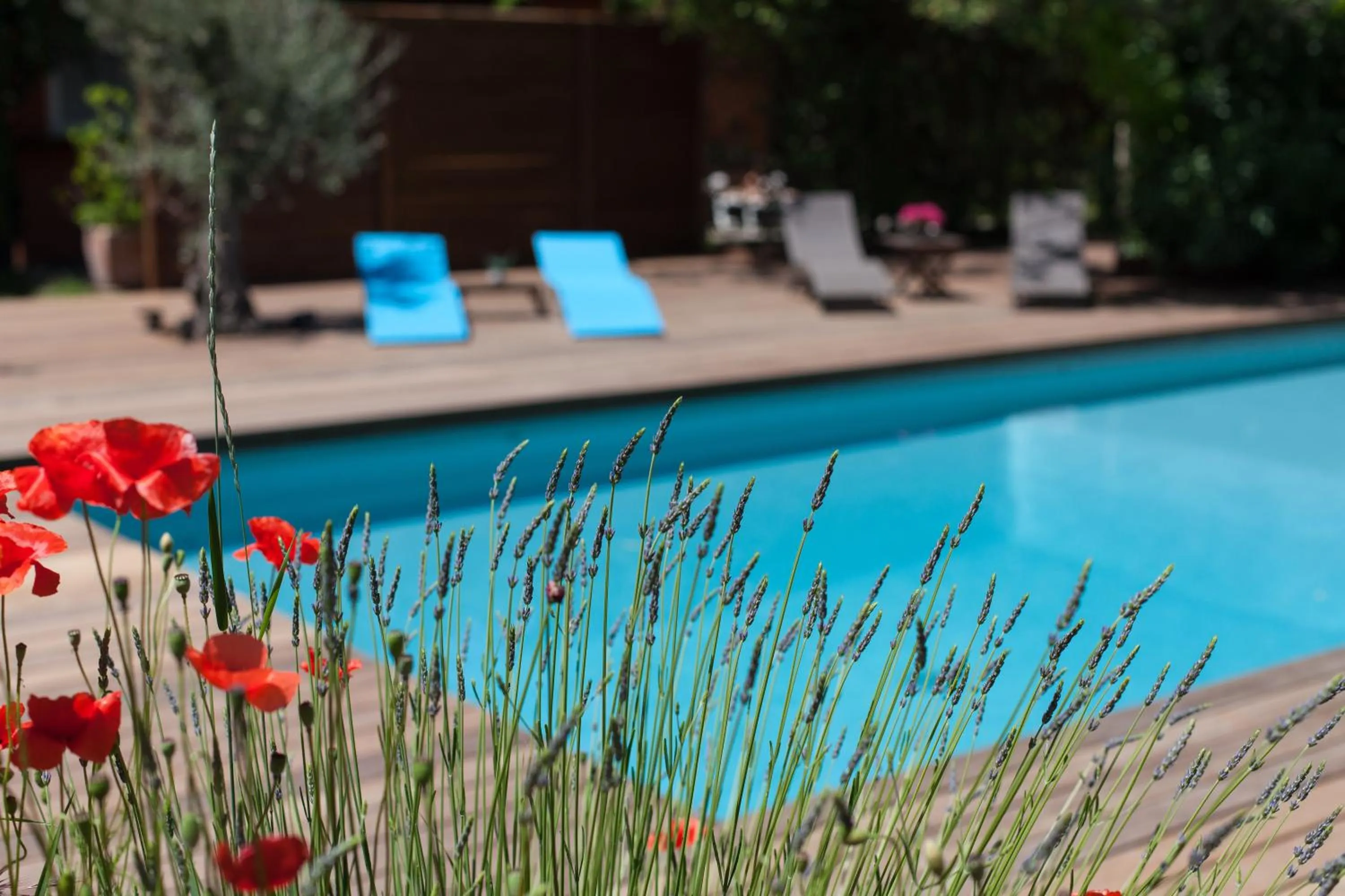 Swimming pool in Le Mas de Bertagne