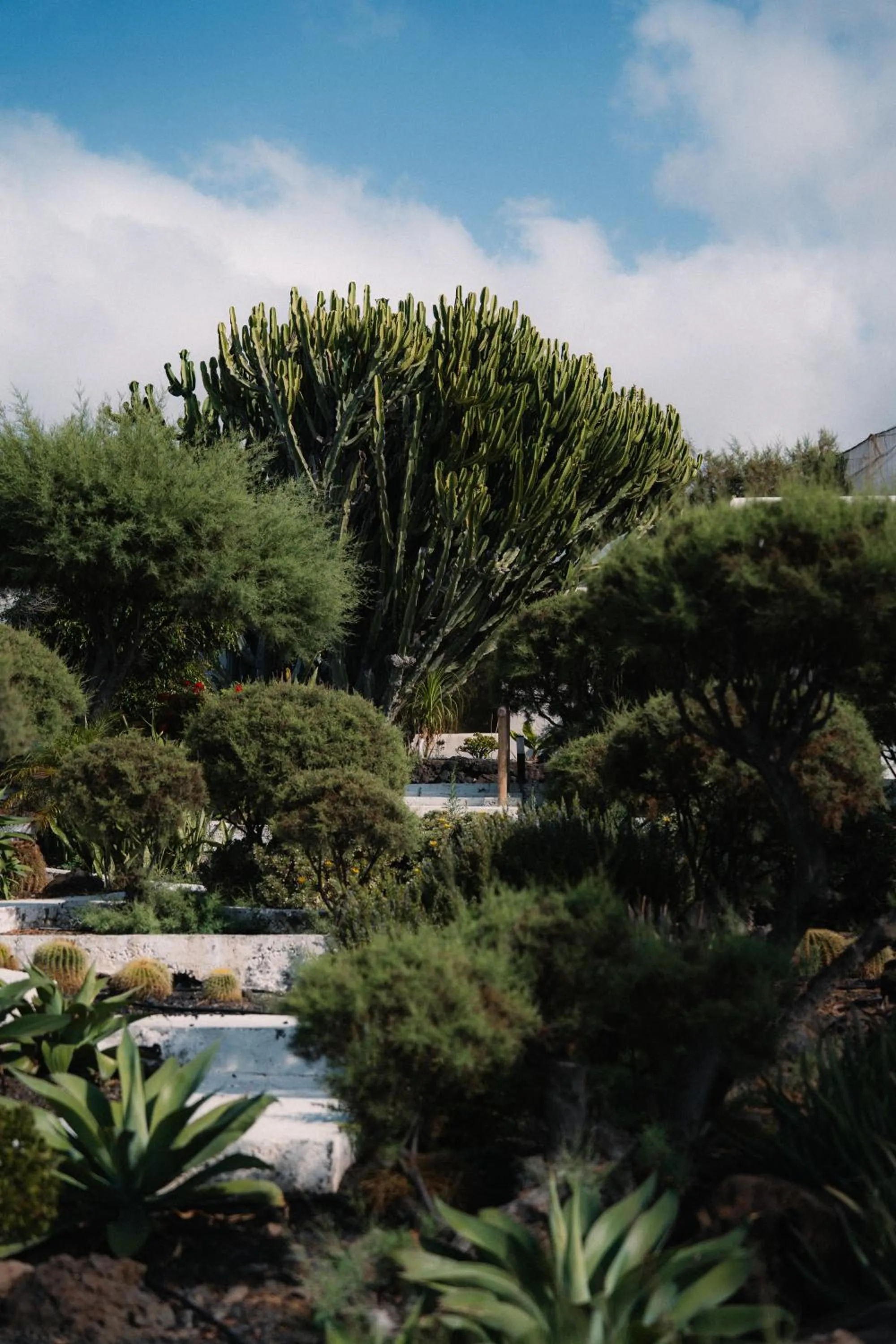 Facade/entrance in Boutique Eco Hotel Costa Mágica