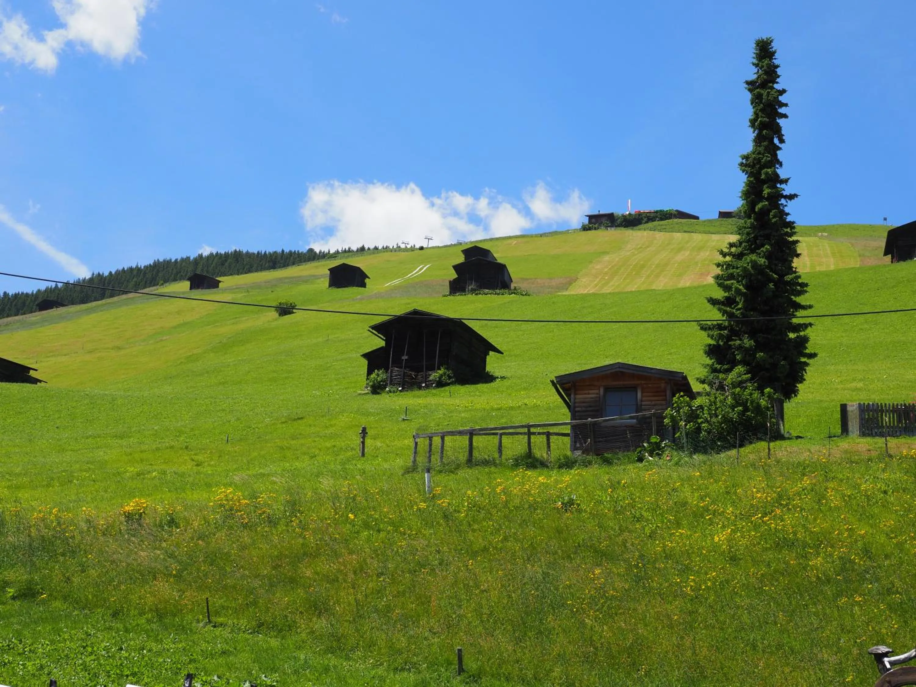 Summer in Hotel Pension Alpengruß