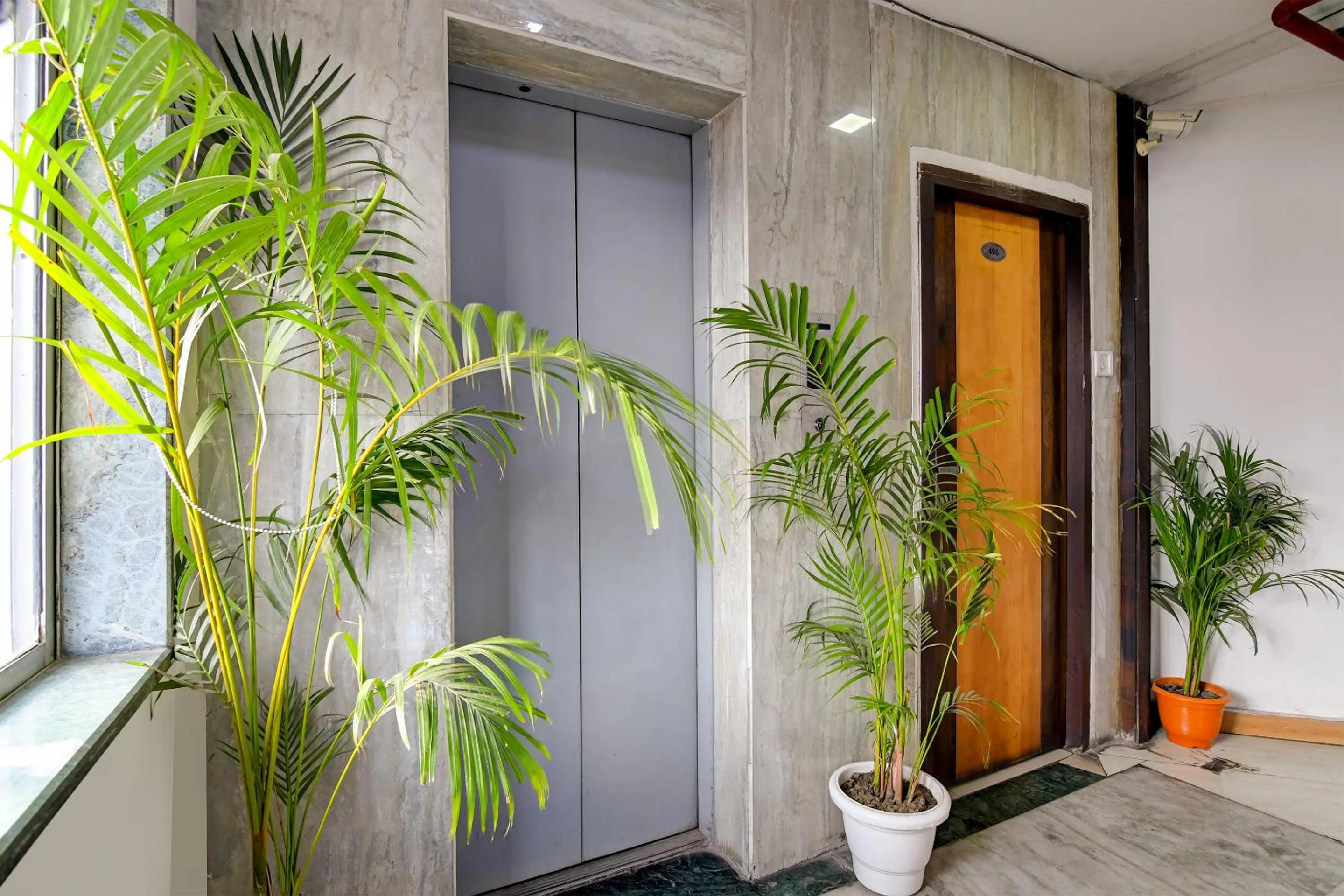 Lobby or reception in Hotel Q Inn