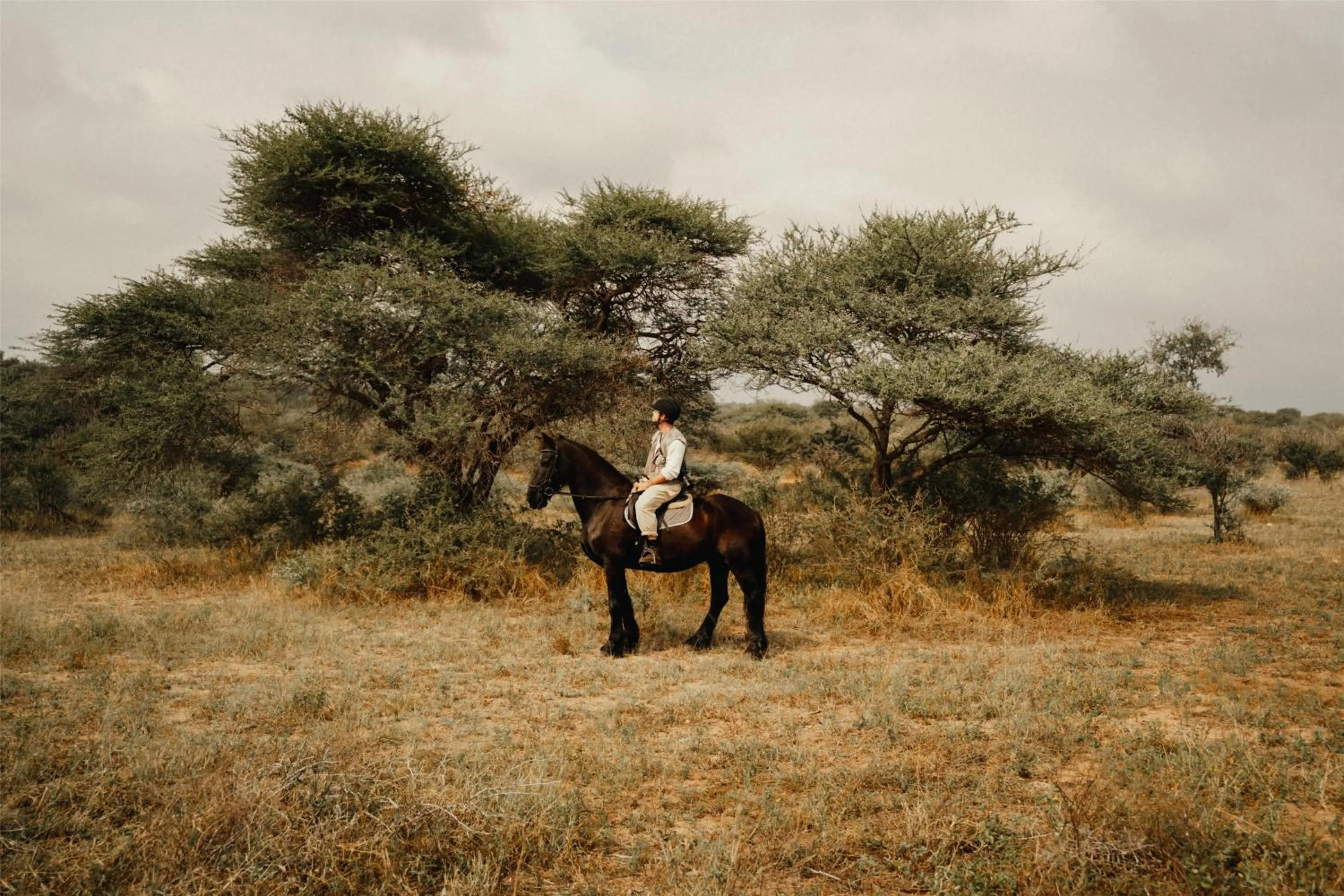 Other in Radisson Safari Hotel Hoedspruit