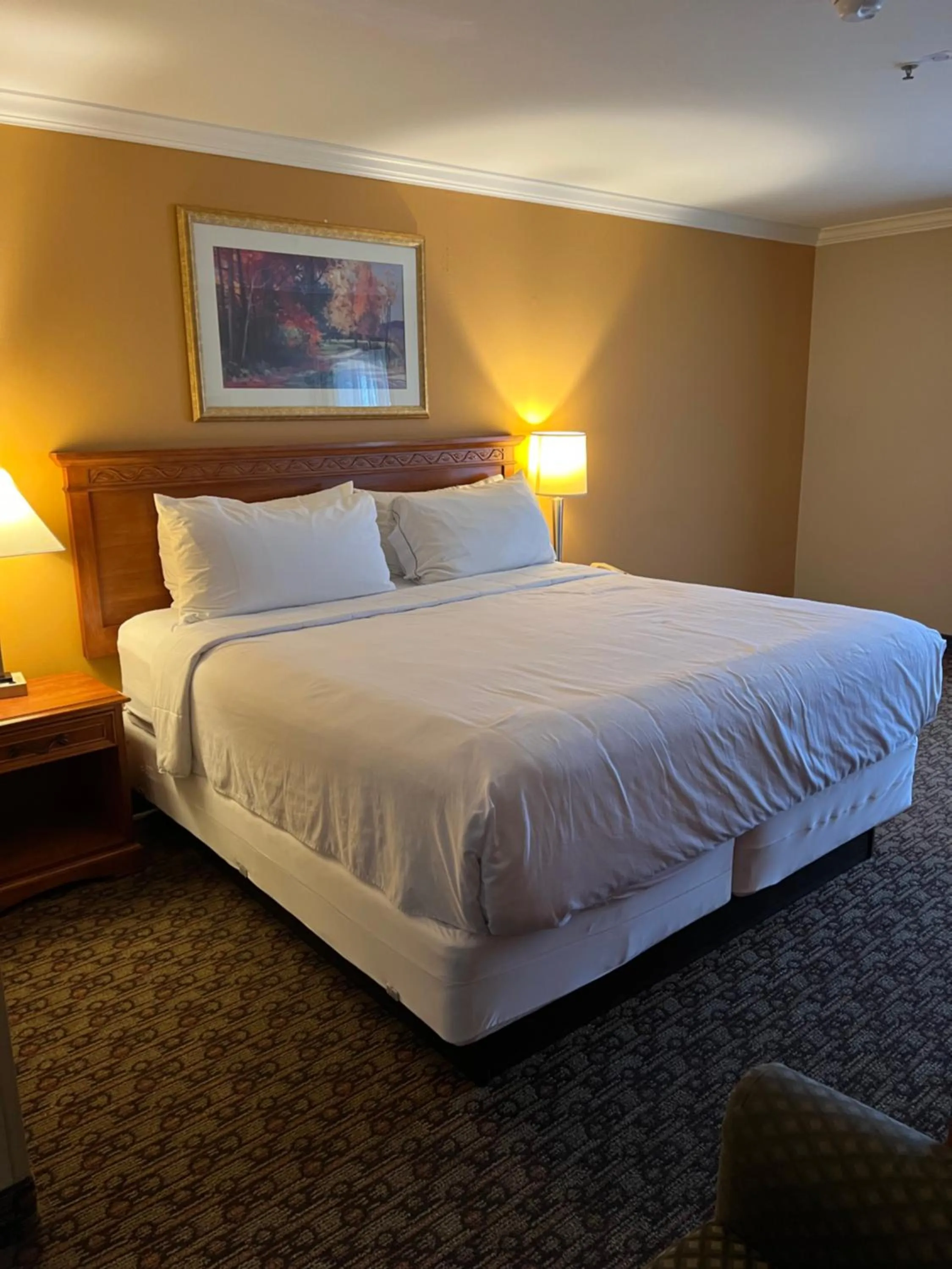 Photo of the whole room, Bed in Hotel Xola