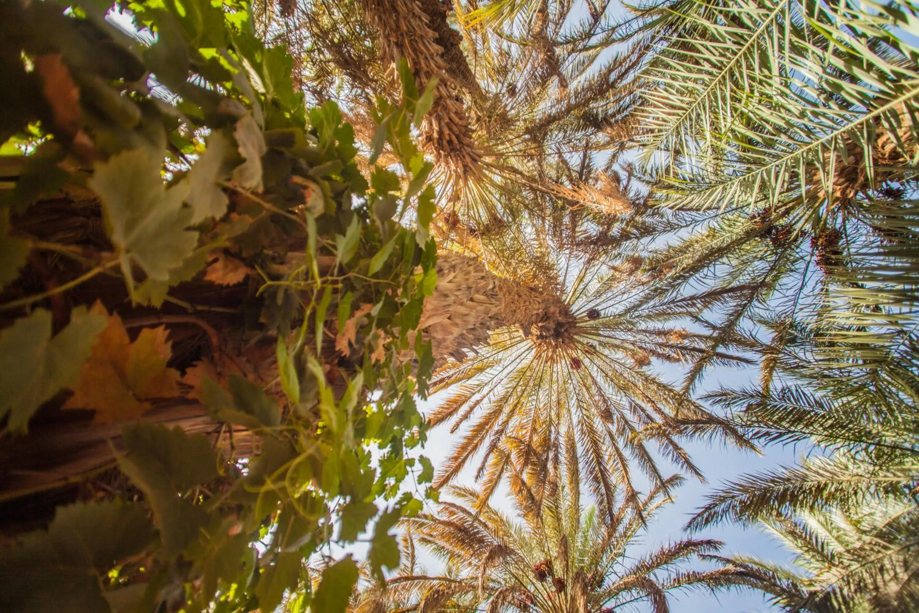 Other in Riad Soleil du Monde