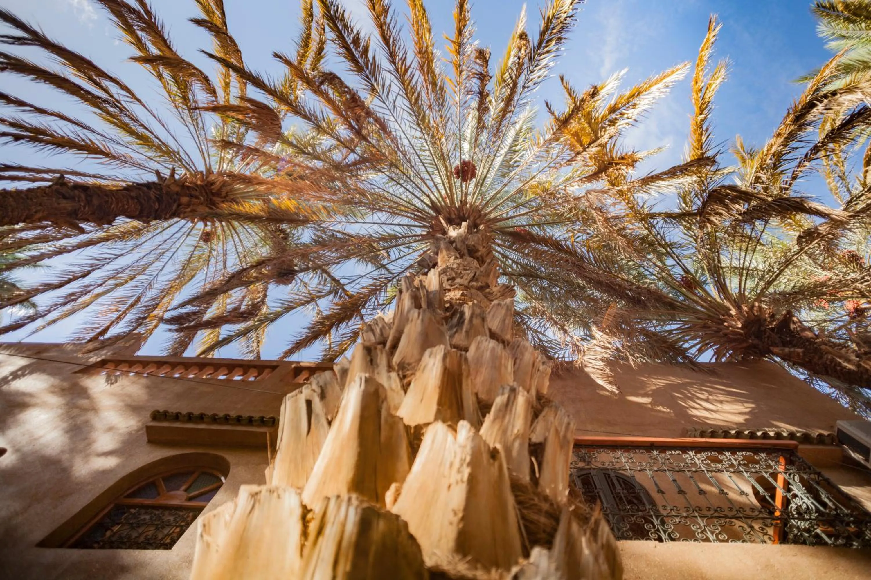 Decorative detail in Riad Soleil du Monde