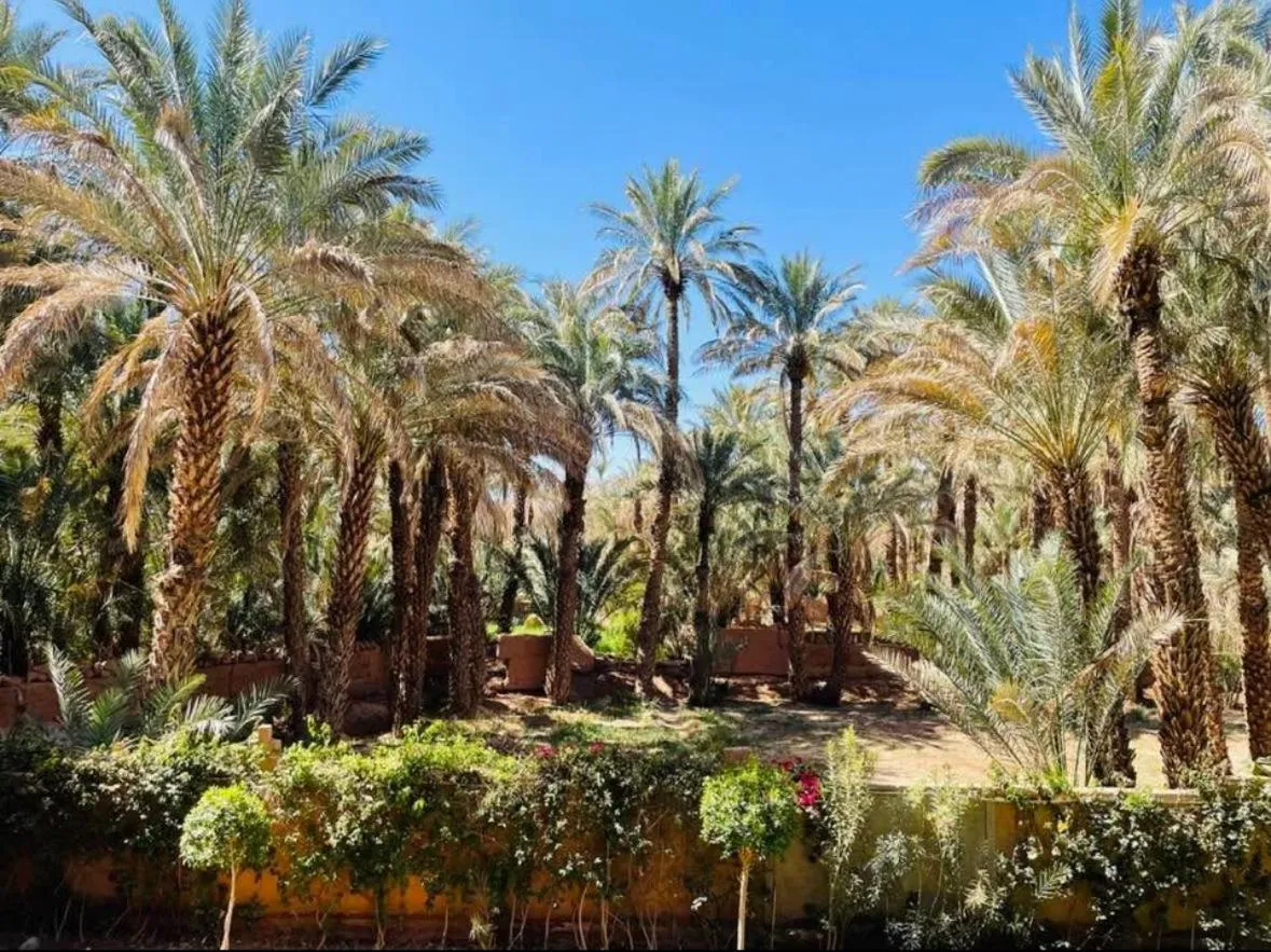 Riad Soleil du Monde