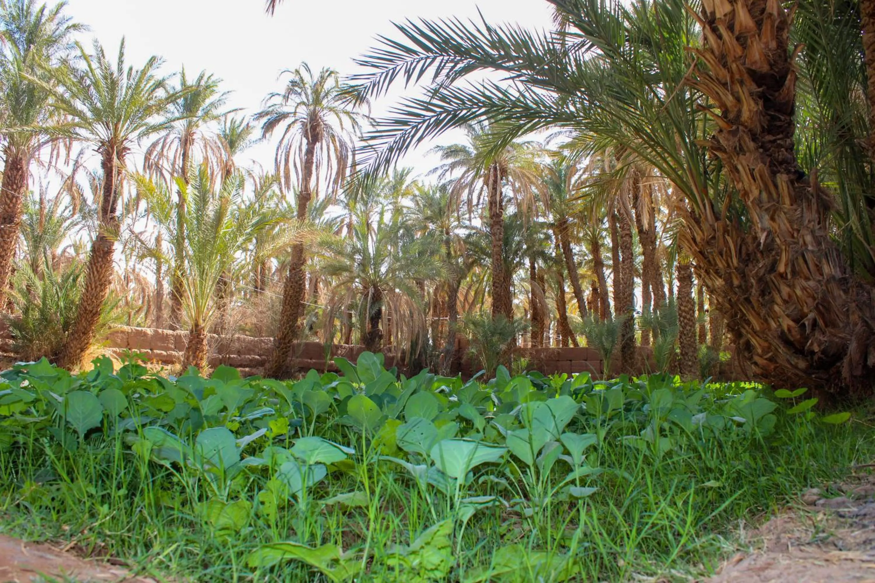 Riad Soleil du Monde