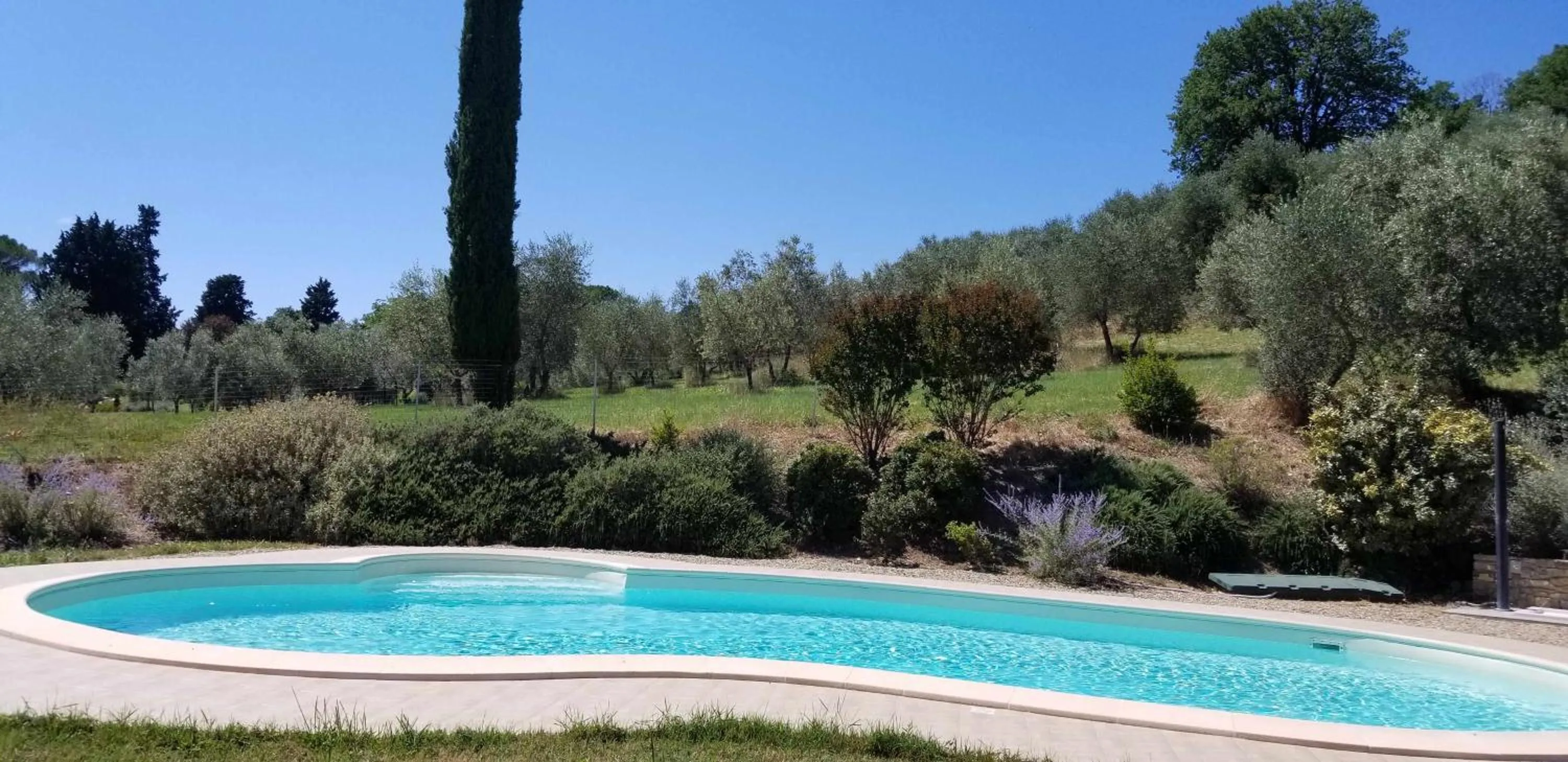 Swimming pool in Il Frantoio delle Grazie