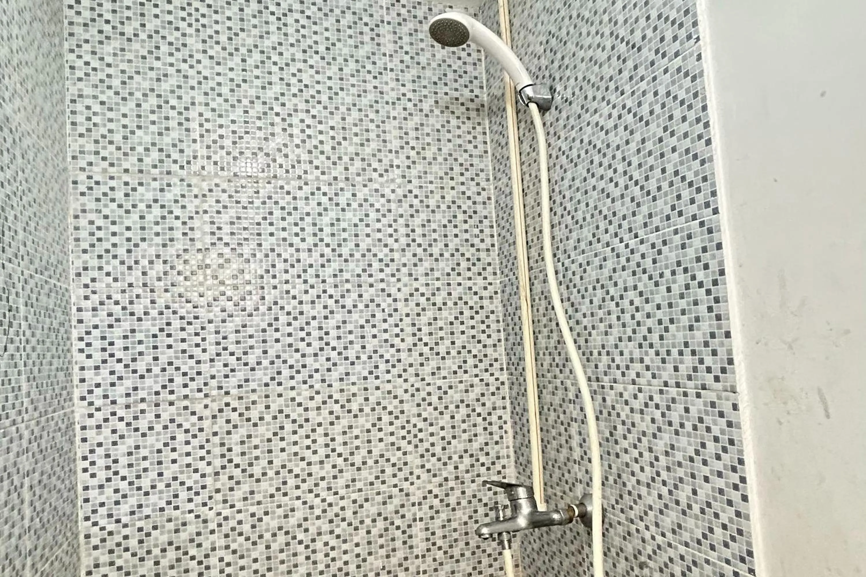 Shower in Barata Home Aeropolis