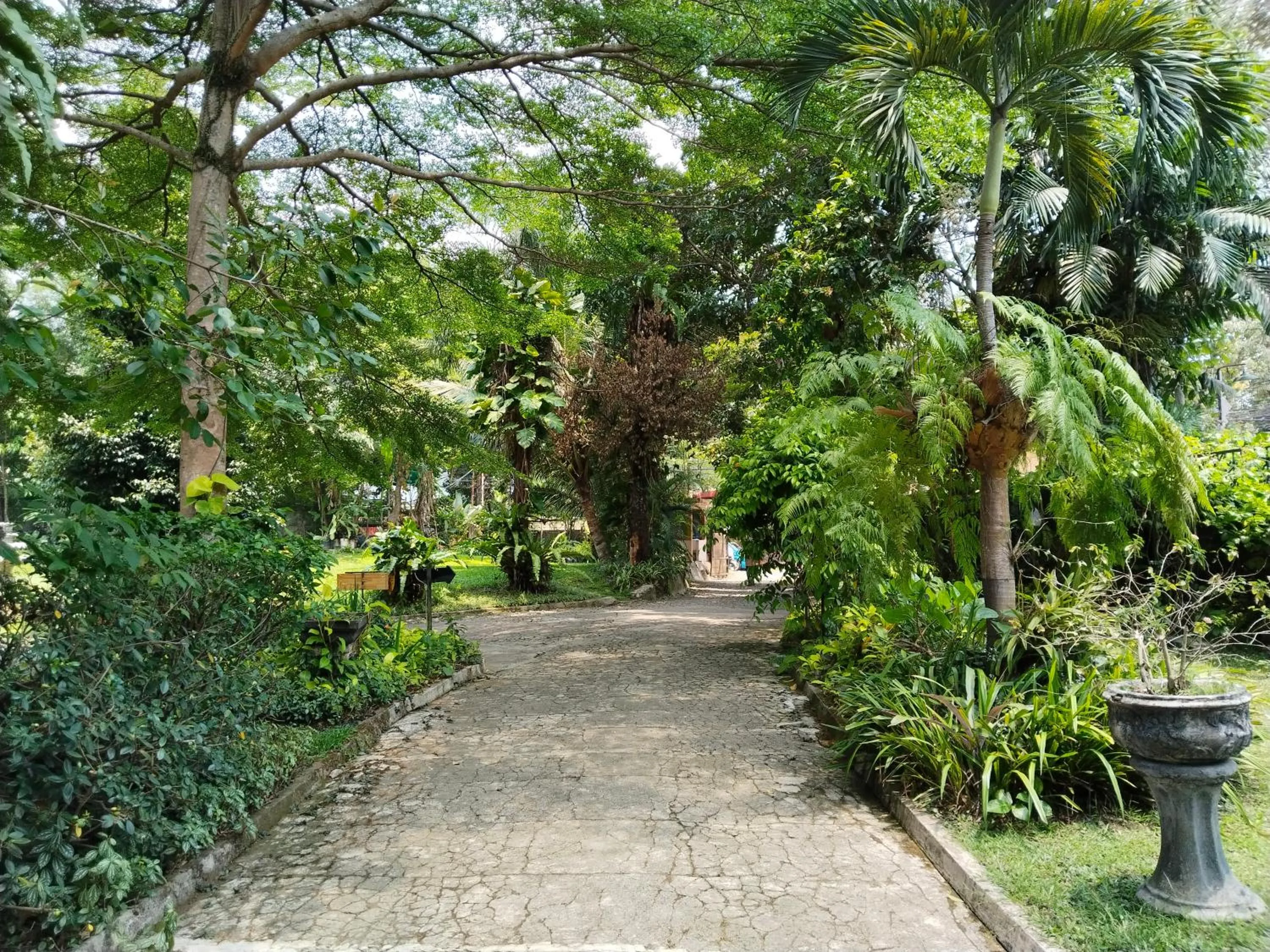 Garden in The Garden Family Guest House powered by Cocotel