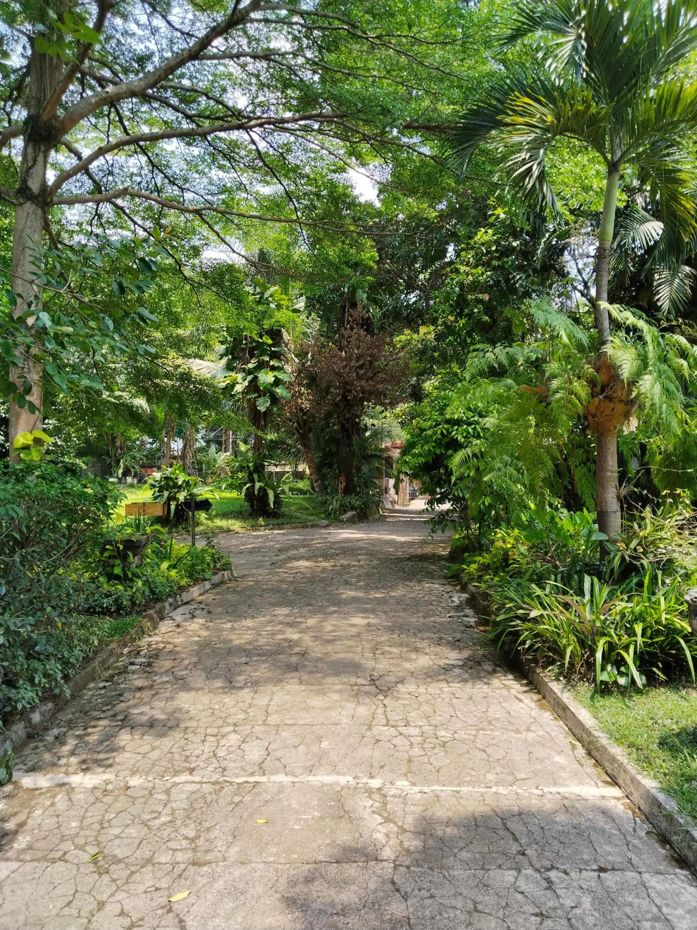 Garden in The Garden Family Guest House powered by Cocotel